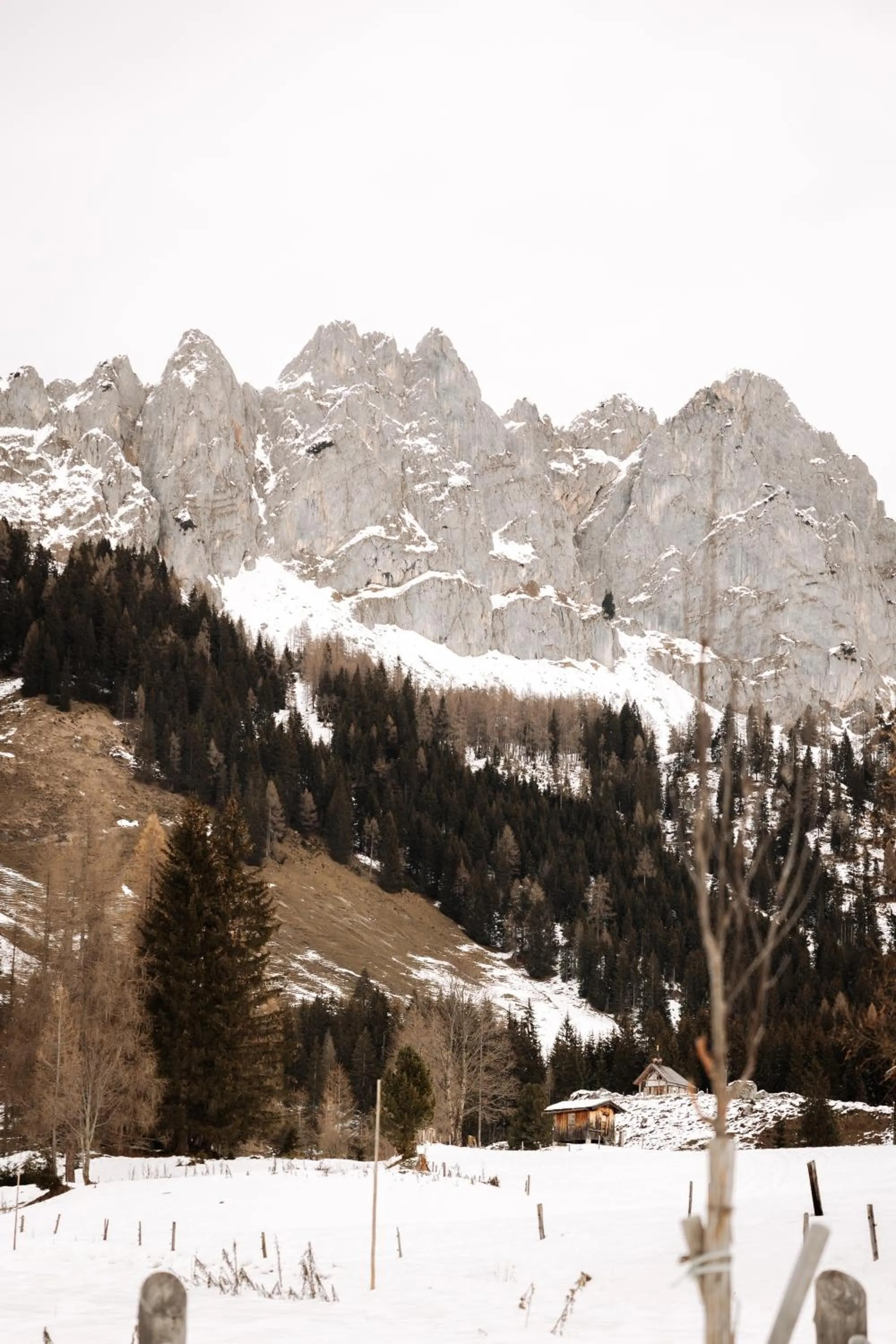 Mountain view in Hubertus Boutiquehotel Filzmoos