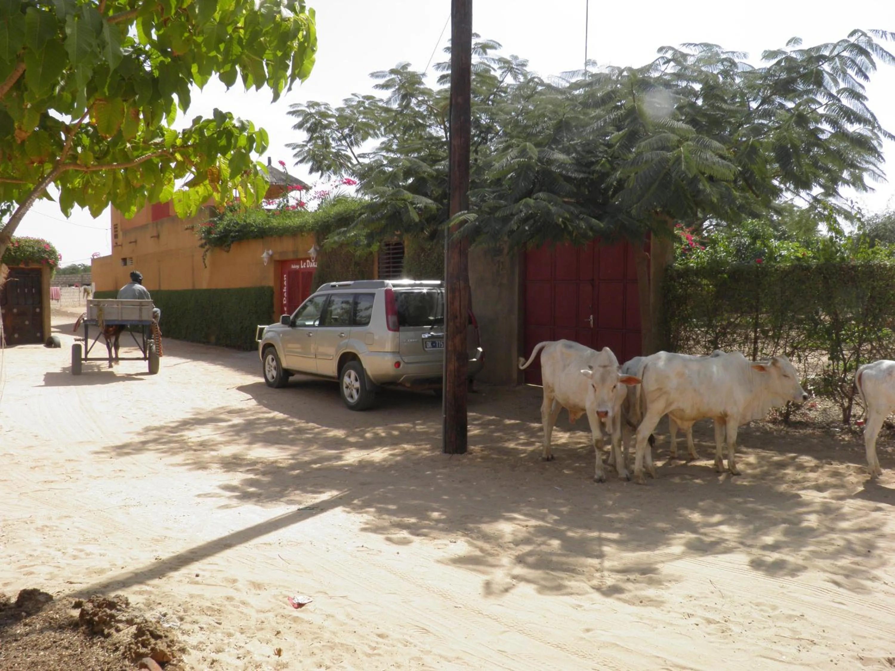 Area and facilities in Le Dakan