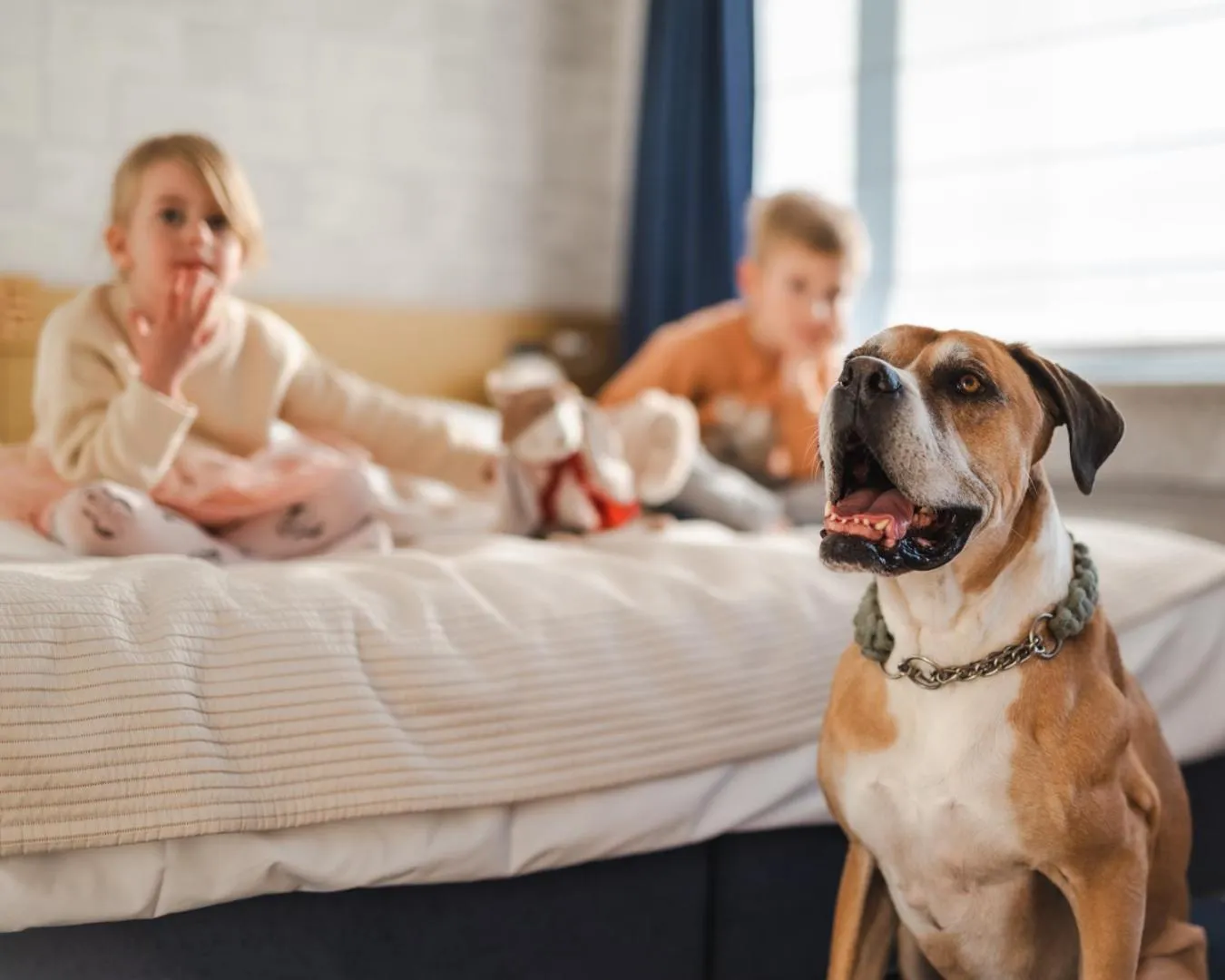 Bed in Hotel Marina Club Old Town View