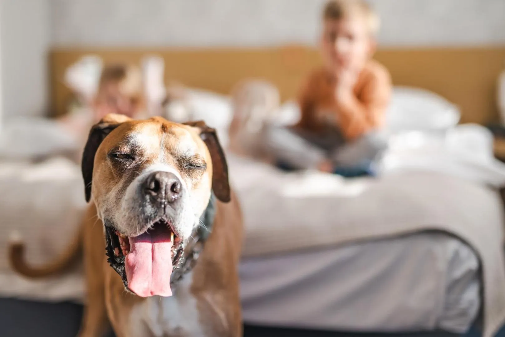 Bed in Hotel Marina Club Old Town View