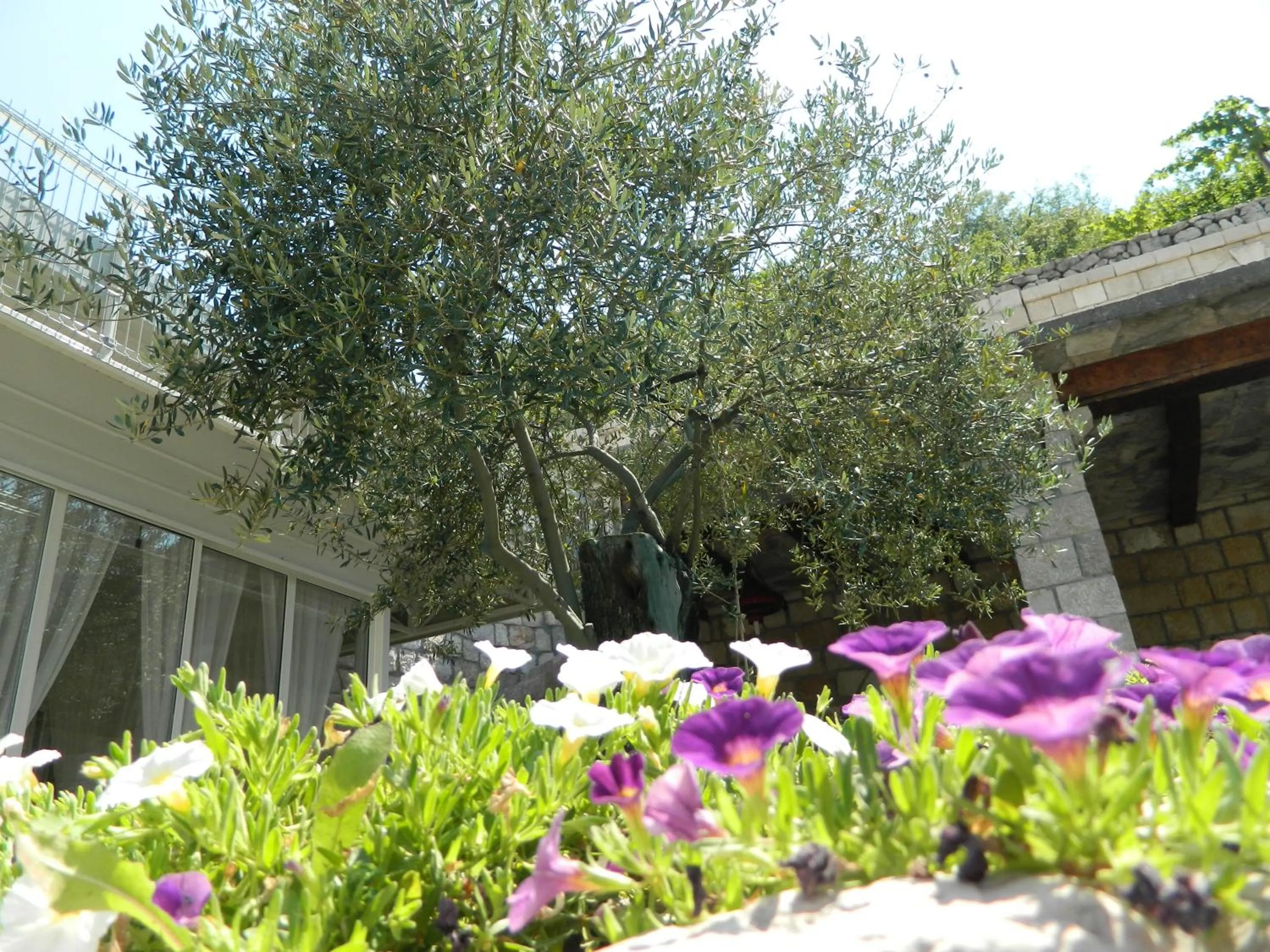 Restaurant/places to eat in Motel Jelčić