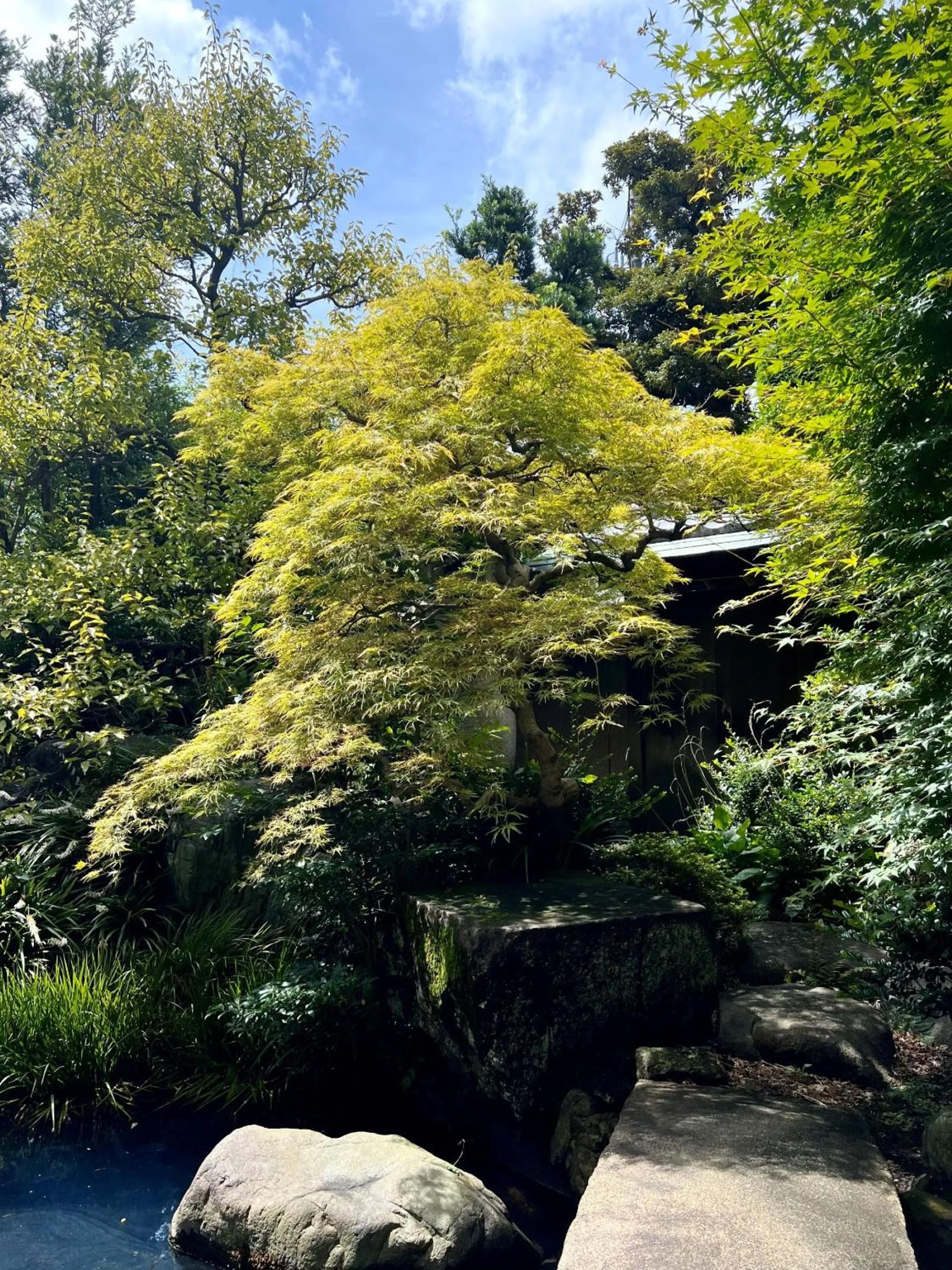 Day in Shinjuku Sun Park Hotel