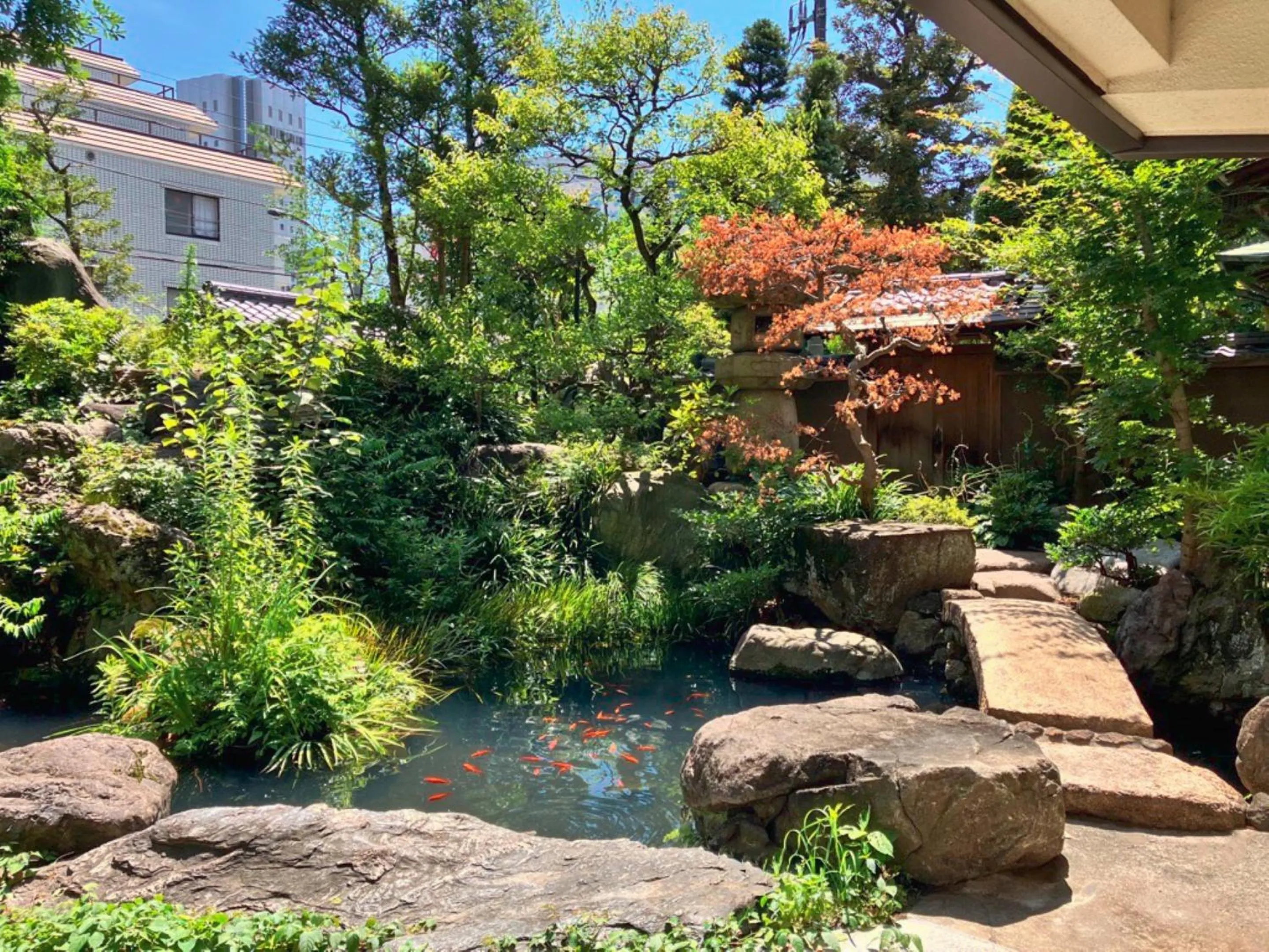 Natural landscape in Shinjuku Sun Park Hotel