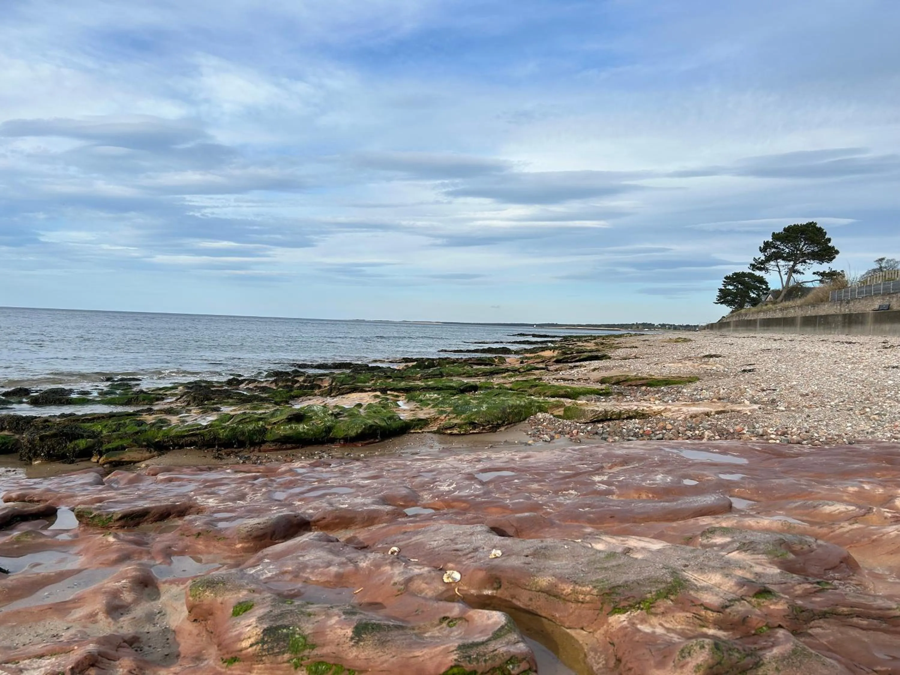 Natural landscape in Glen Lyon Lodge Bed and Breakfast