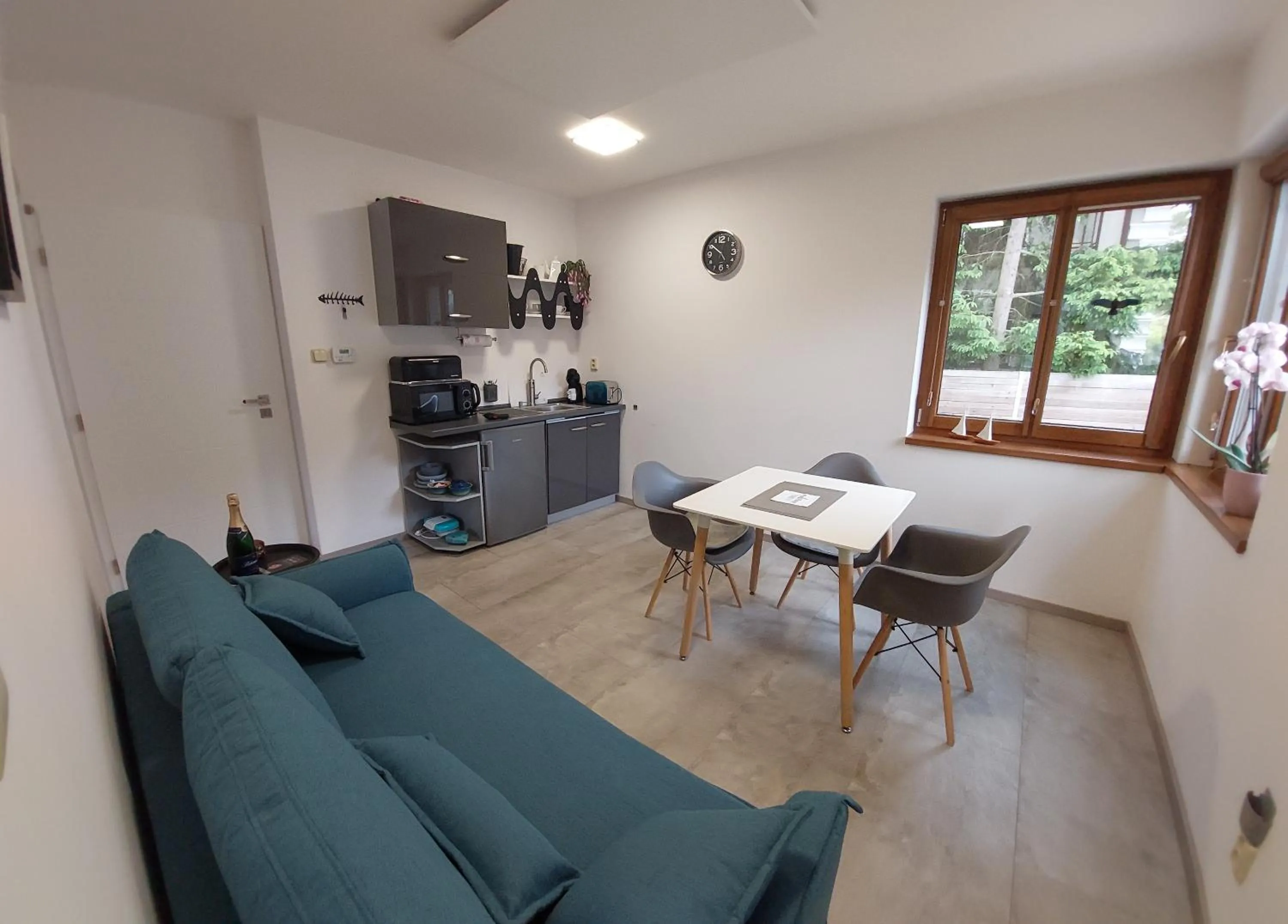 Kitchen or kitchenette in Apartmány FELSENBURG Staré Splavy