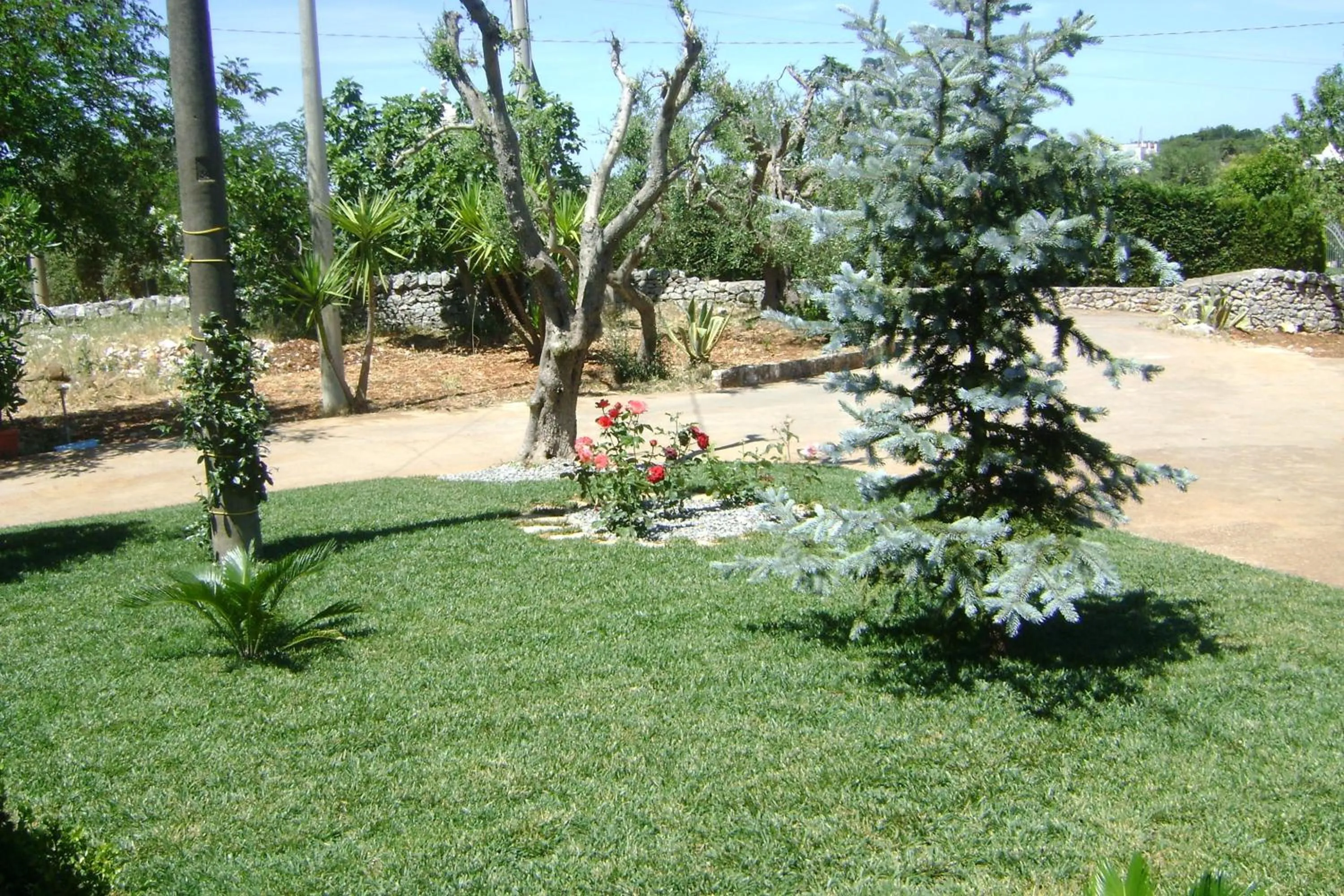 Garden in B&B Tenuta Ranieri