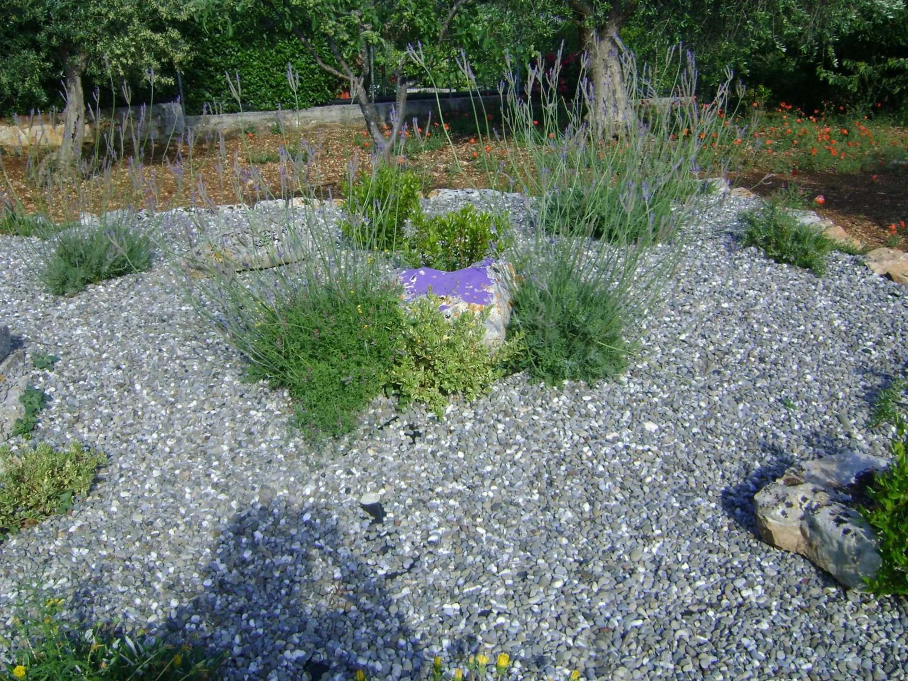 Garden in B&B Tenuta Ranieri