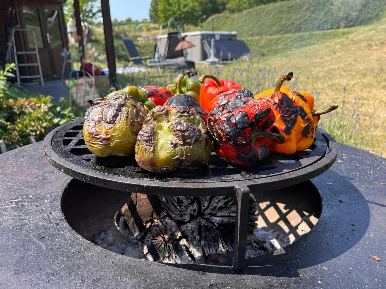 BBQ facilities in B&B AntiQua & Qook