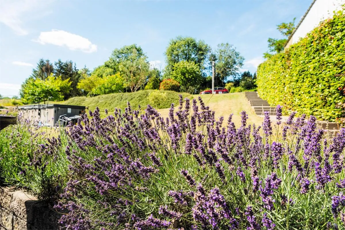 Garden in B&B AntiQua & Qook