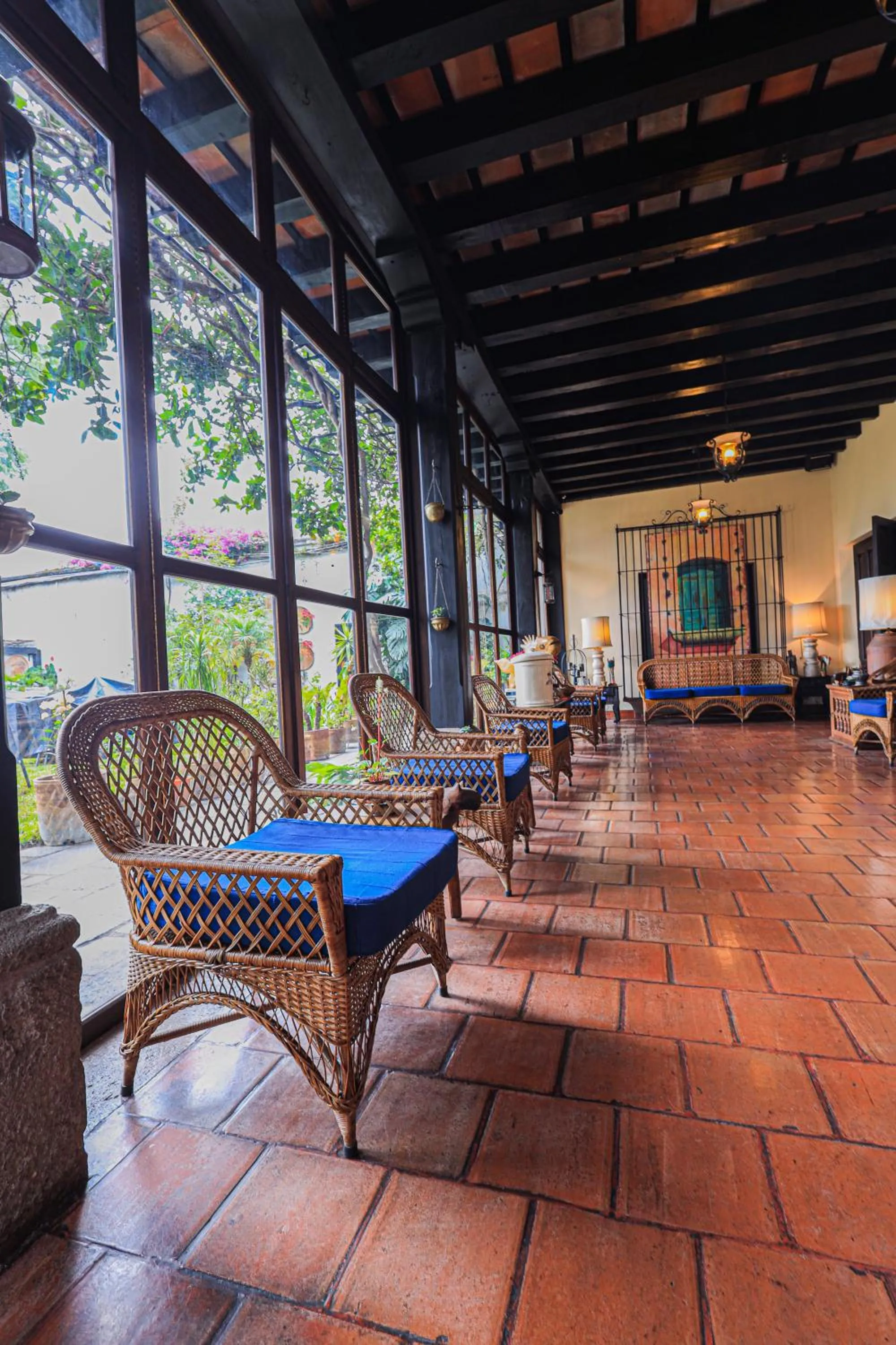 Garden view in Hotel Casa Bansley