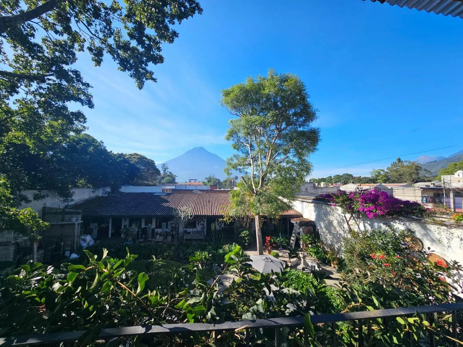Garden view in Hotel Casa Bansley
