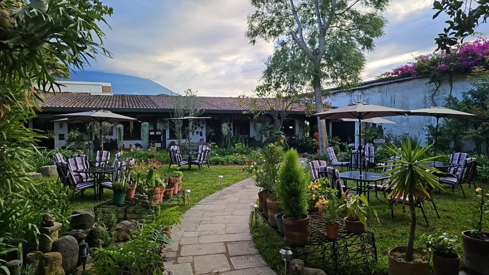 Meals in Hotel Casa Bansley