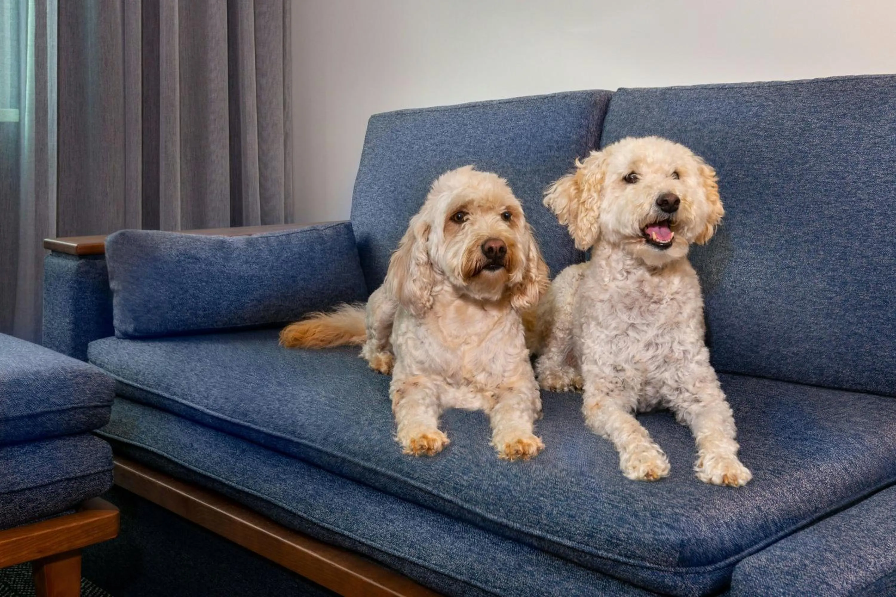 Other in Courtyard by Marriott Buffalo Downtown/Canalside