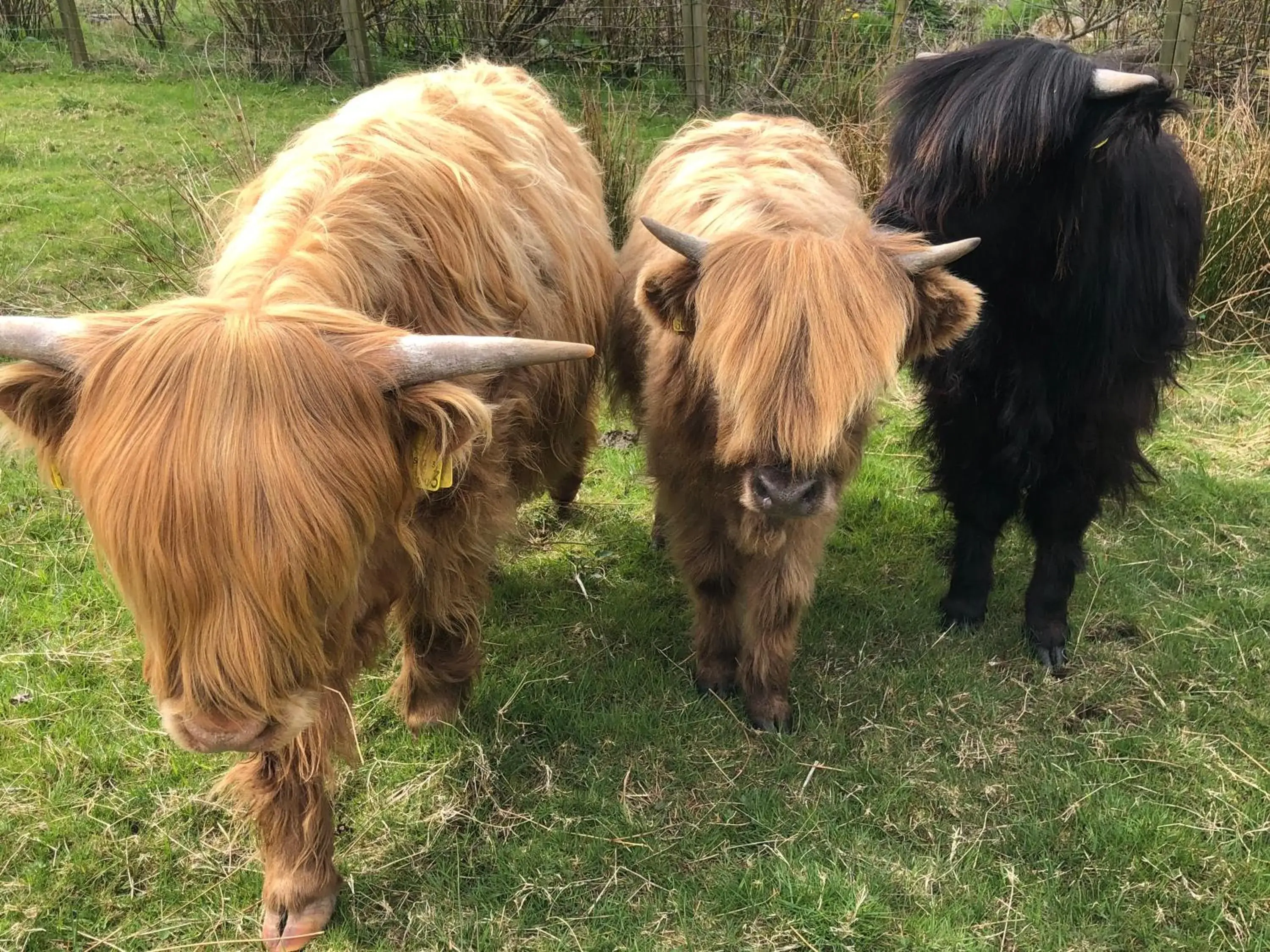 Deluxe Double Room with Sea View in Valleyview House Deluxe Double Room with Sea View in Valleyview House