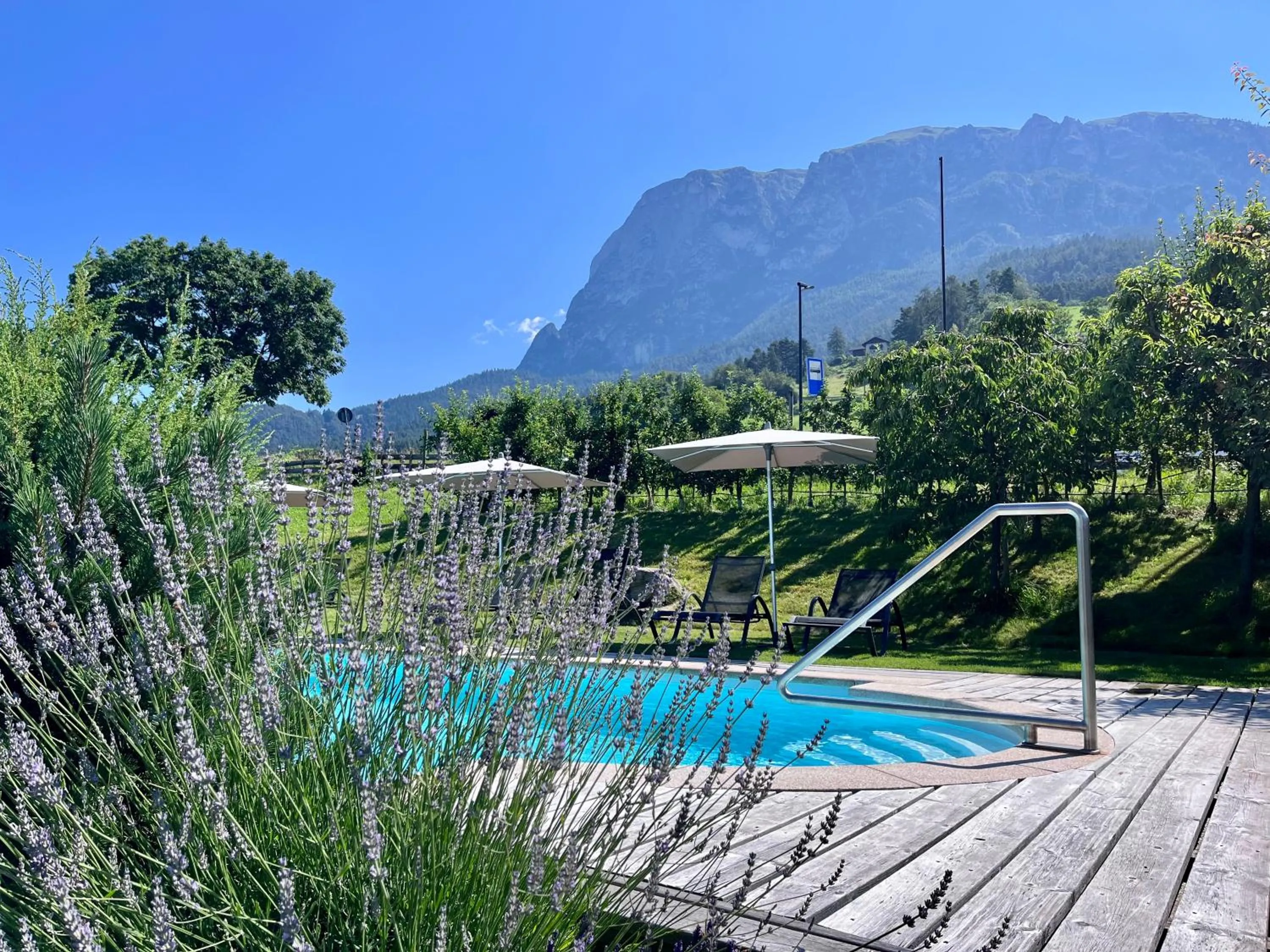 Natural landscape in Hotel Gasthof Kircher