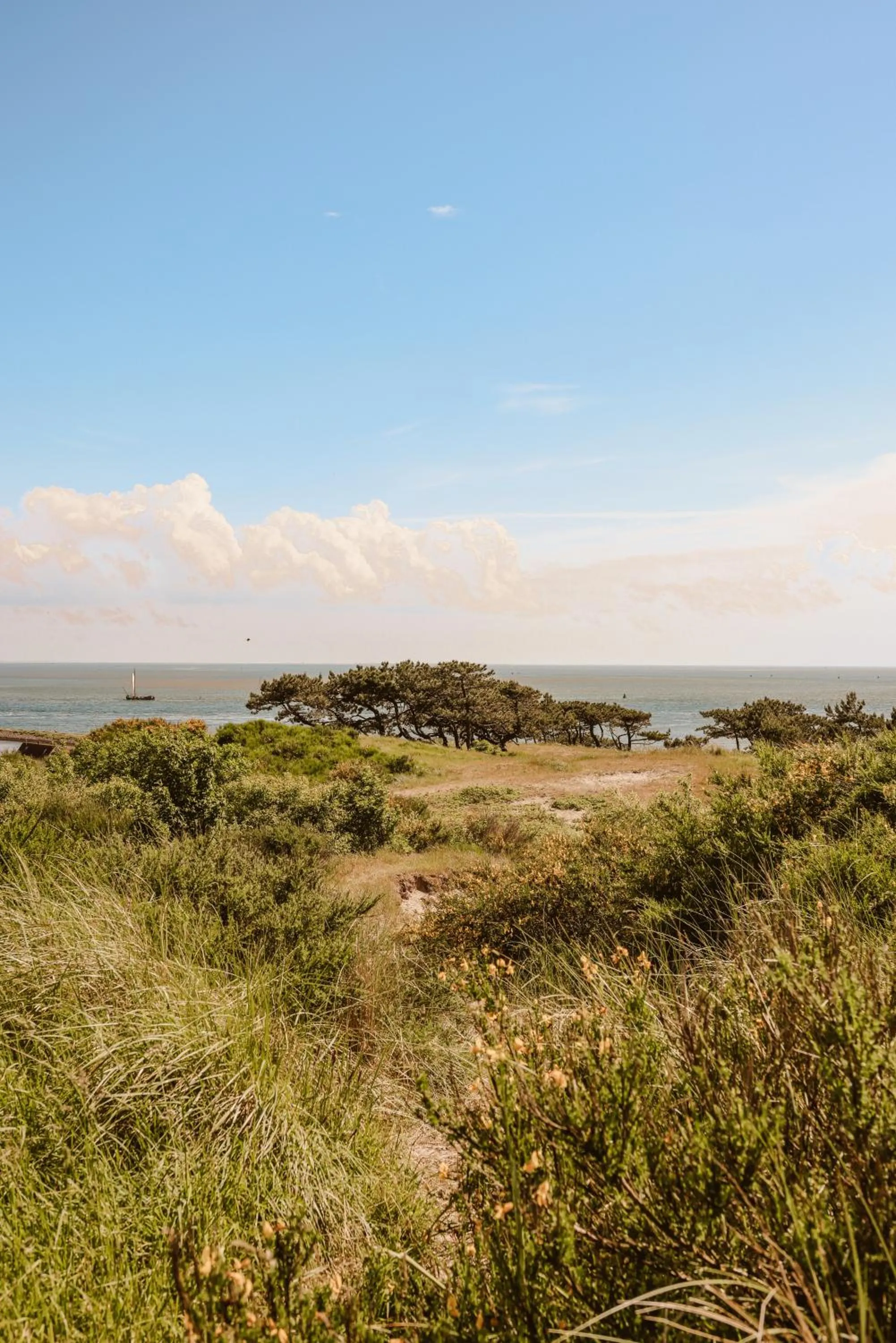 Natural landscape in WestCord Hotel Schylge