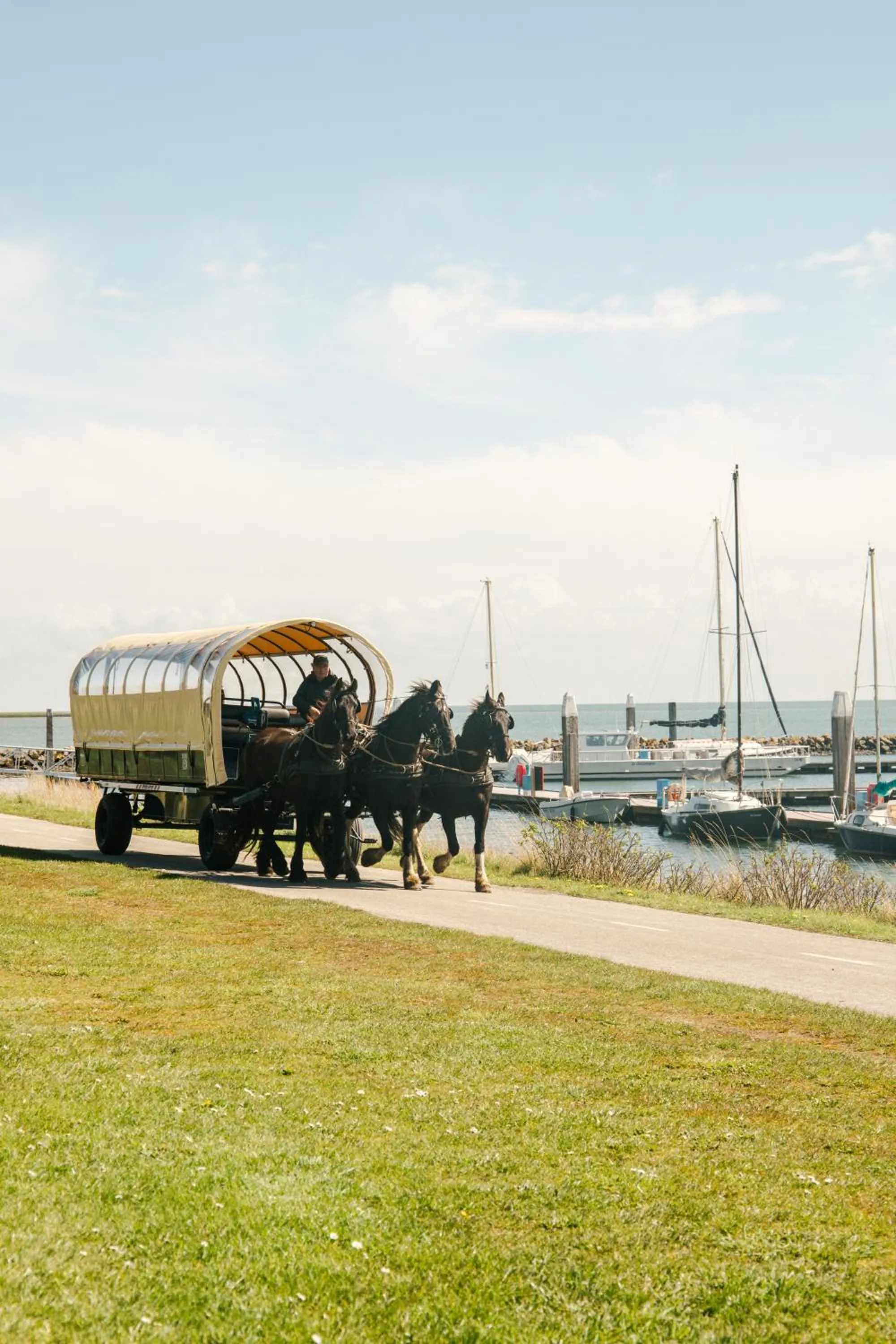 Sea view in WestCord Hotel Schylge