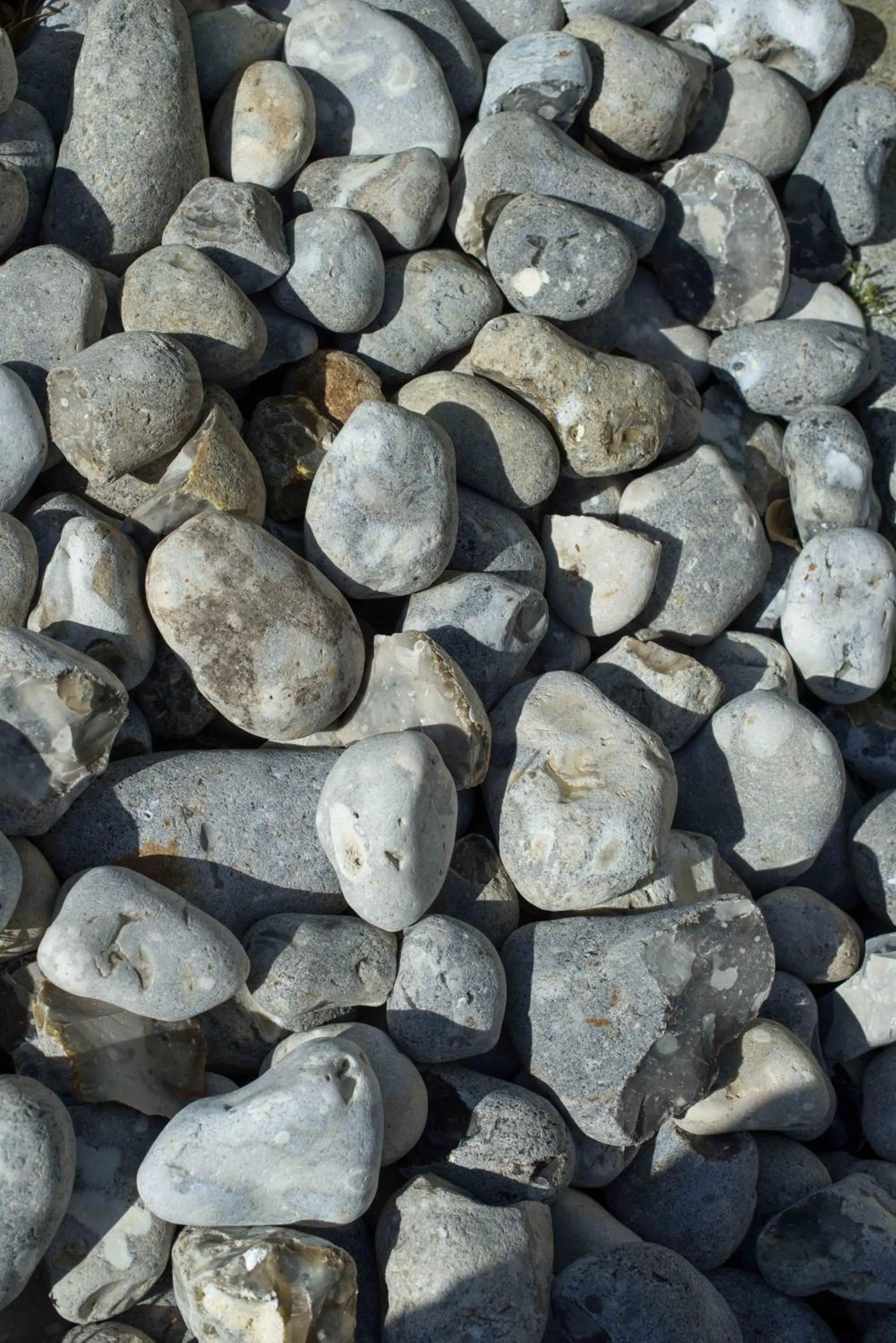 Decorative detail in Le Fort de l'Océan