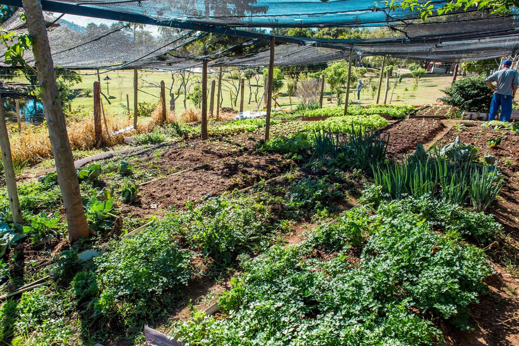 Garden in Guarany Eco Resort