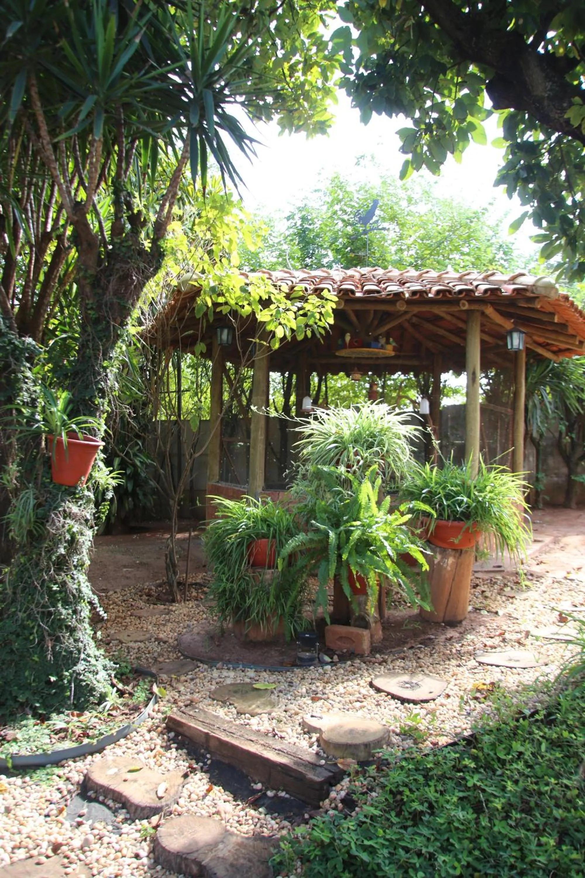 Garden in Pousada Tia Nena