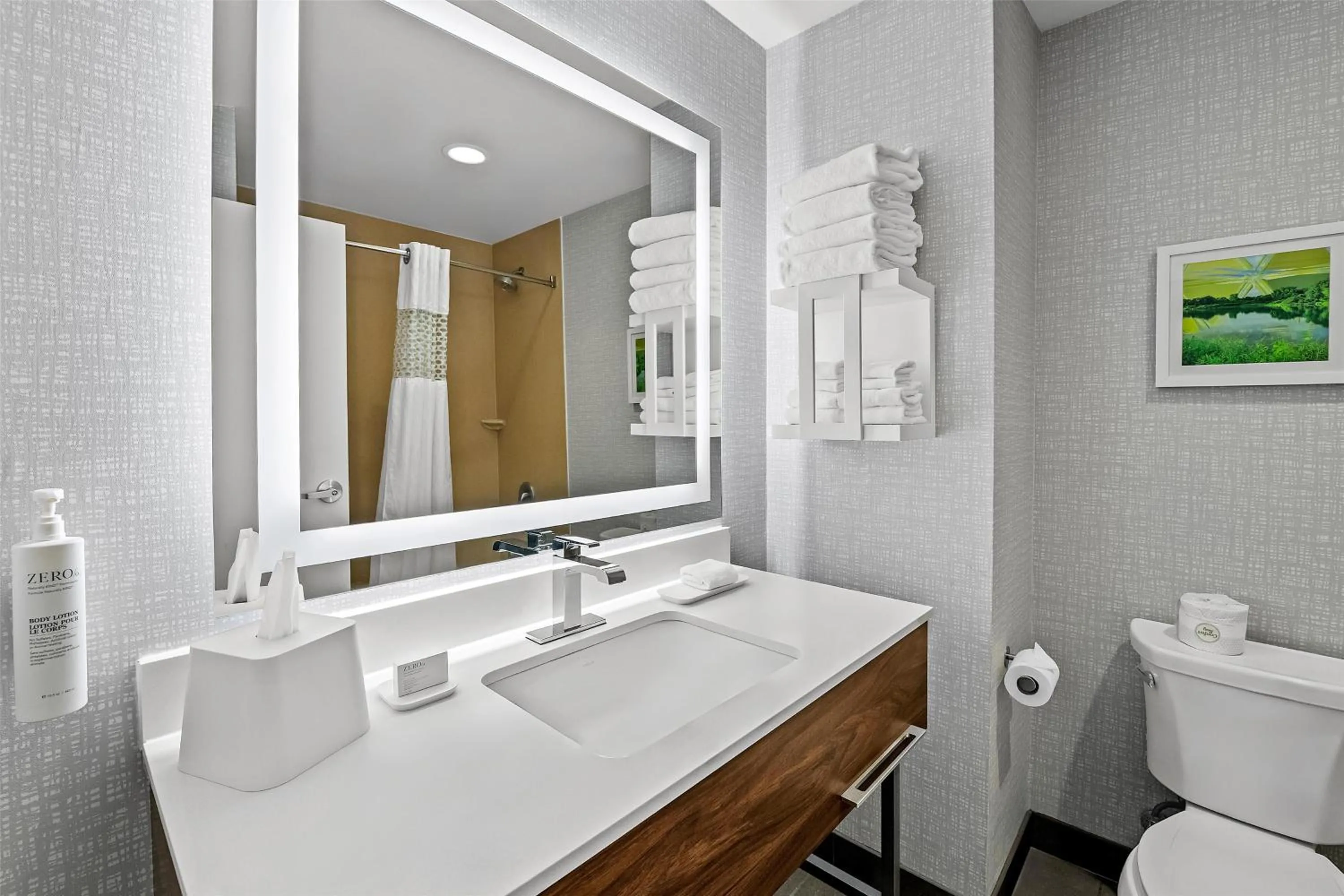 Bathroom in Hampton Inn Omaha/West Dodge Road, Old Mill