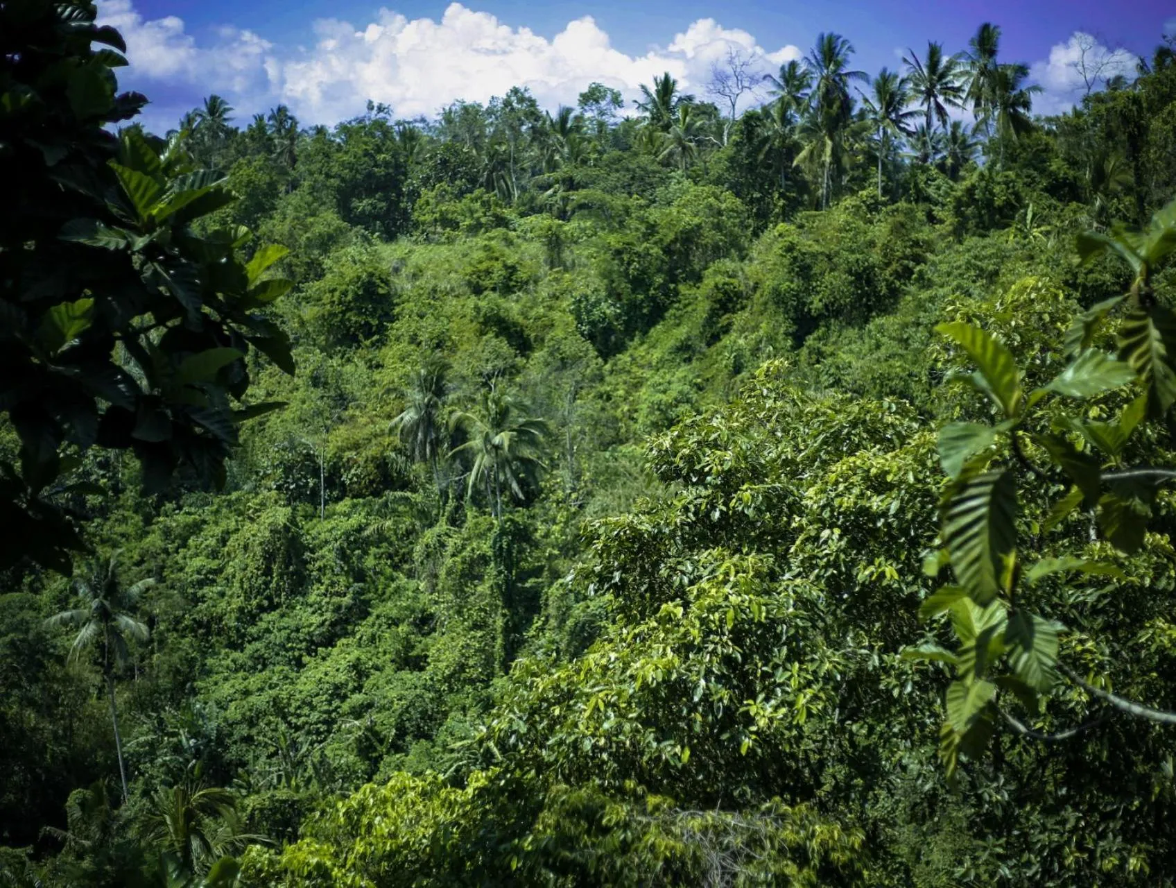 Natural landscape in Angsoka Bungalow