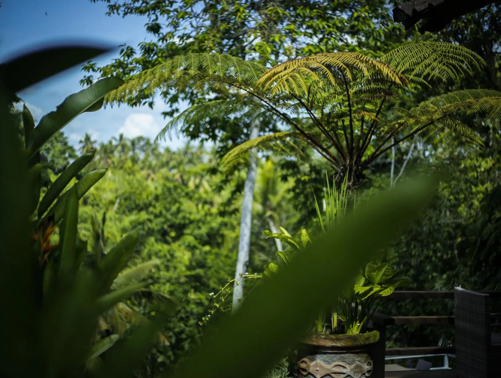 Garden in Angsoka Bungalow
