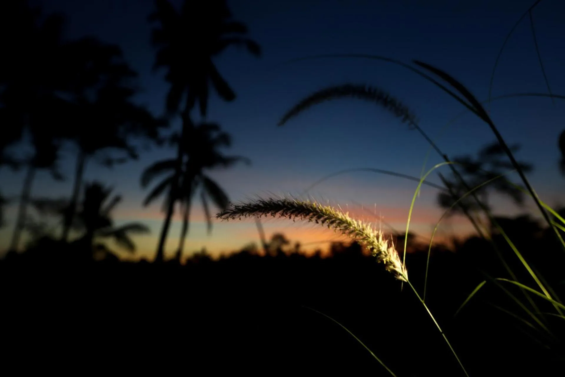 Natural landscape in Angsoka Bungalow