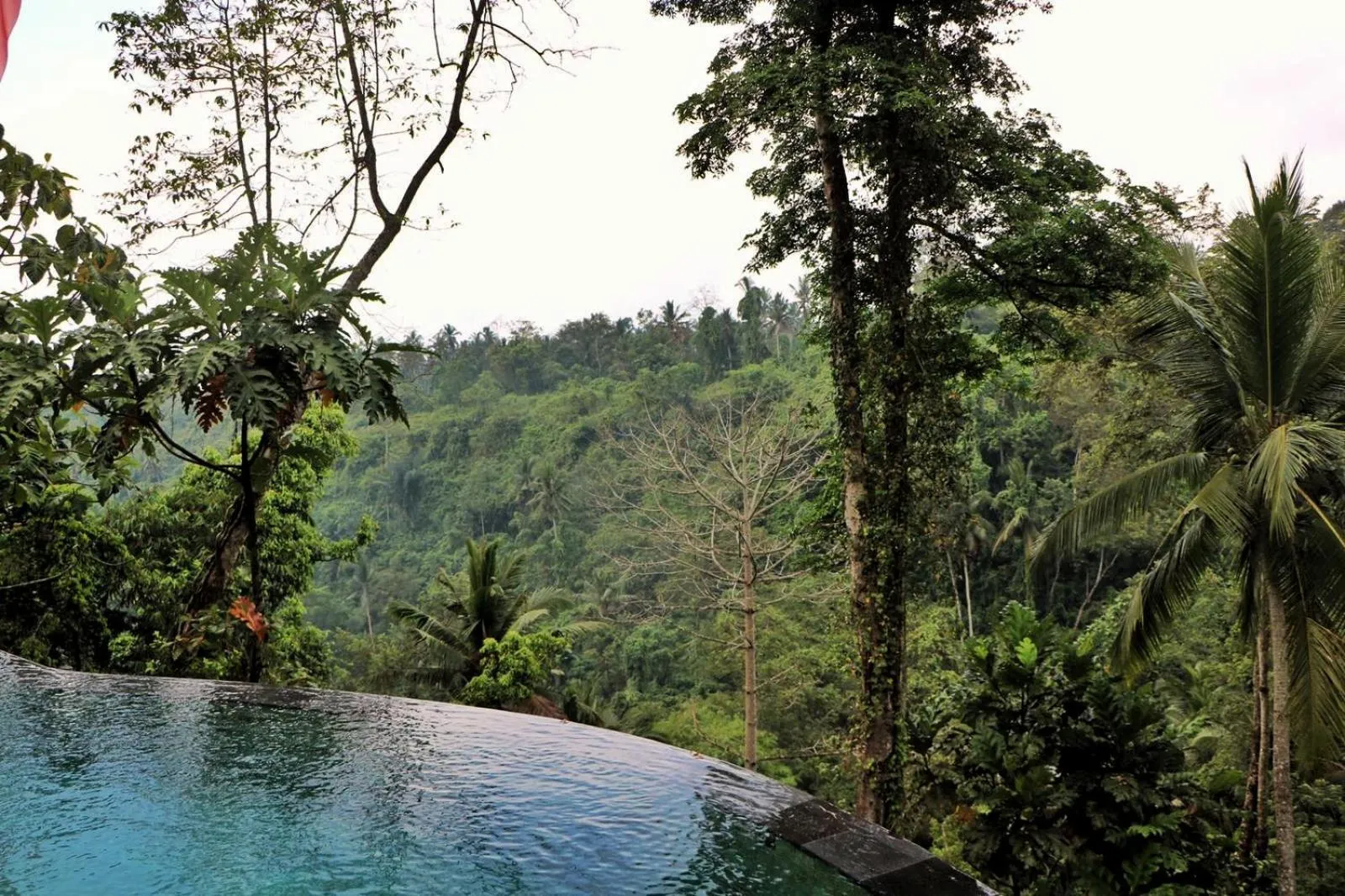 Natural landscape in Angsoka Bungalow