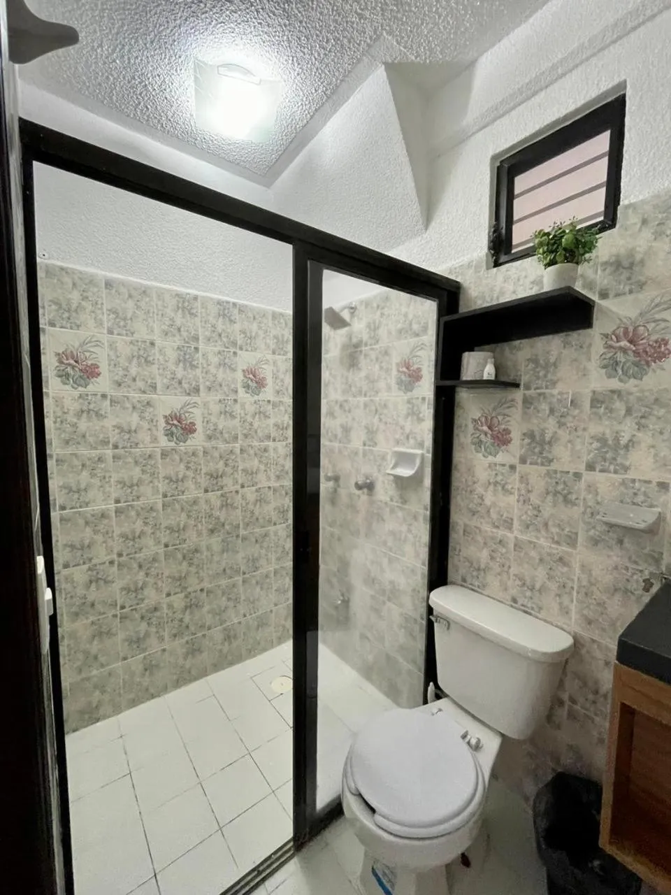 Shower in MAYAB Playa - 5Th. Ave