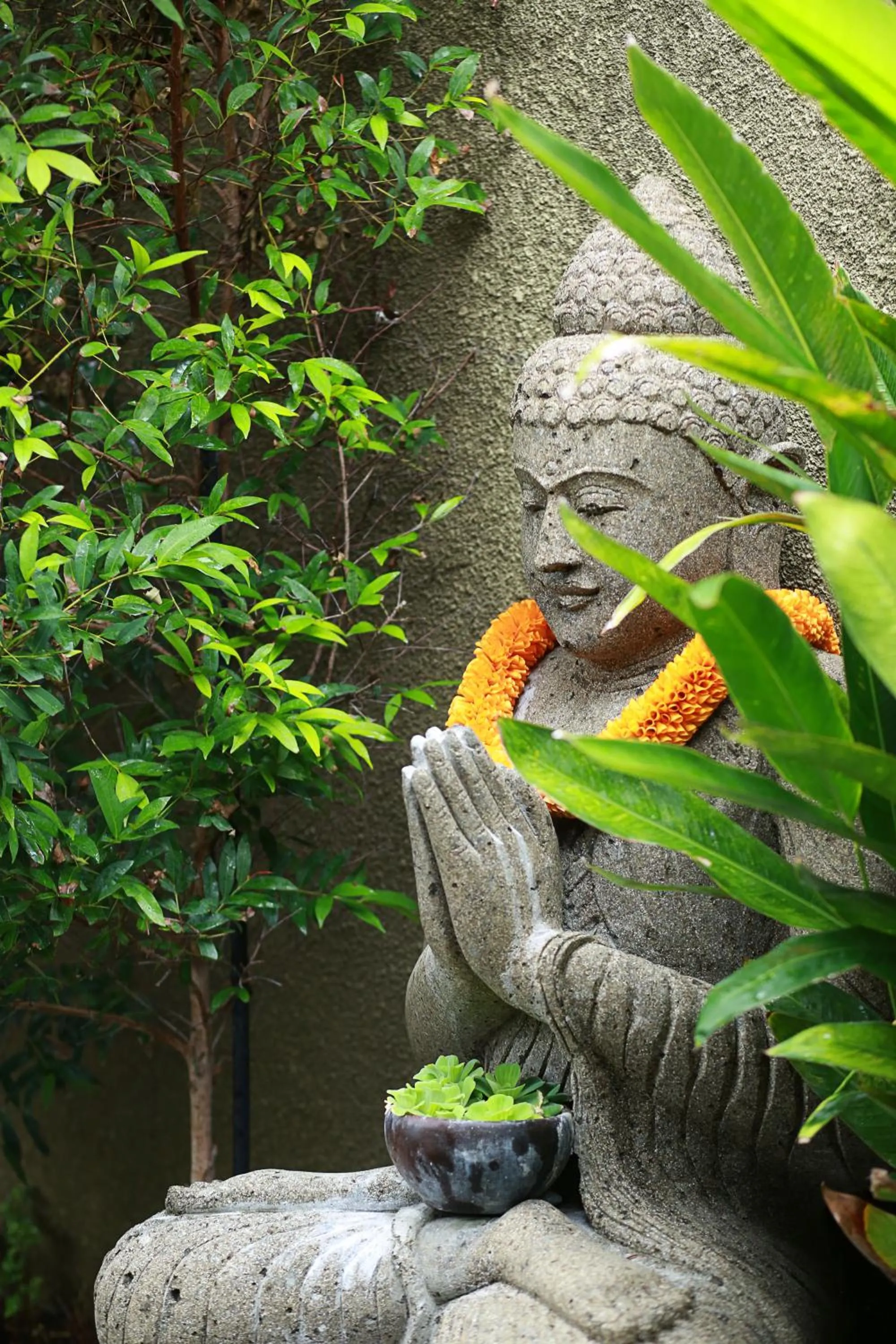 Patio in The Kumpi Villas
