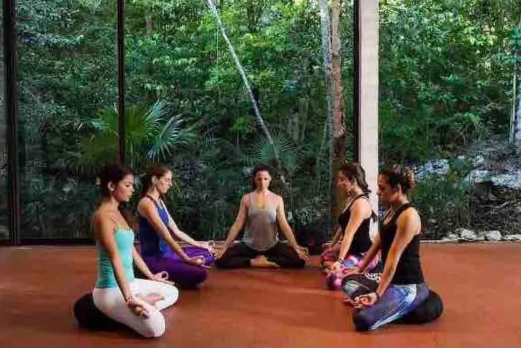 Luxury Apartment with M Benz and & Driver Included