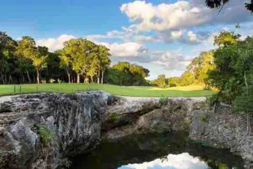 Luxury Apartment with M Benz and & Driver Included