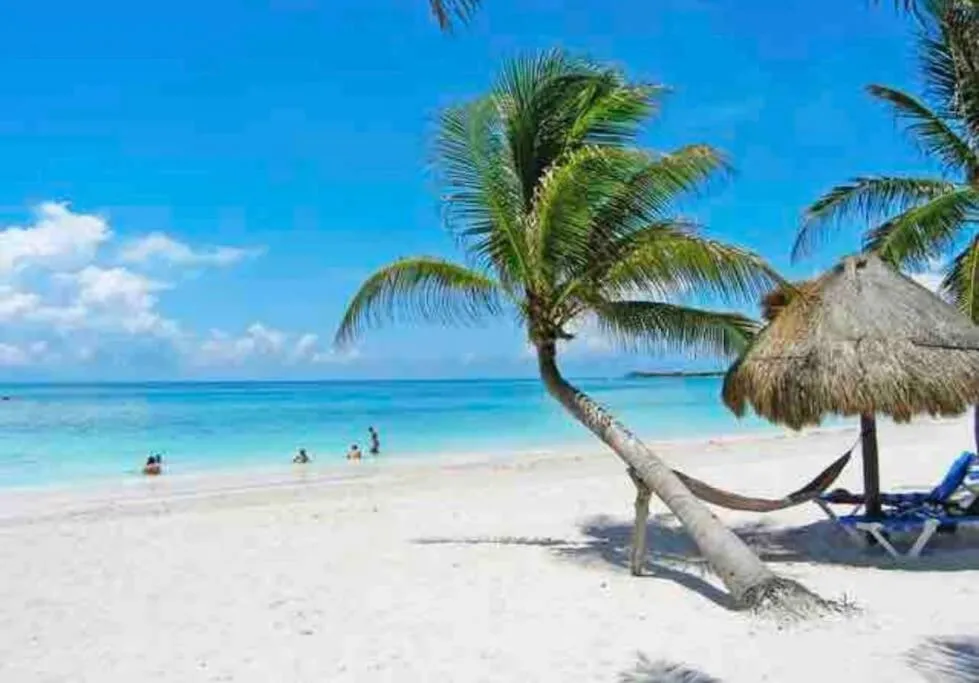 Luxury Apartment with M Benz and & Driver Included