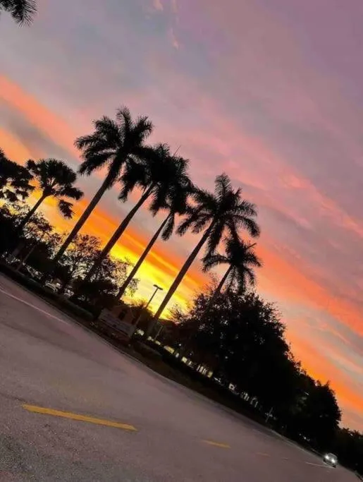 Luxury Apartment with M Benz and & Driver Included