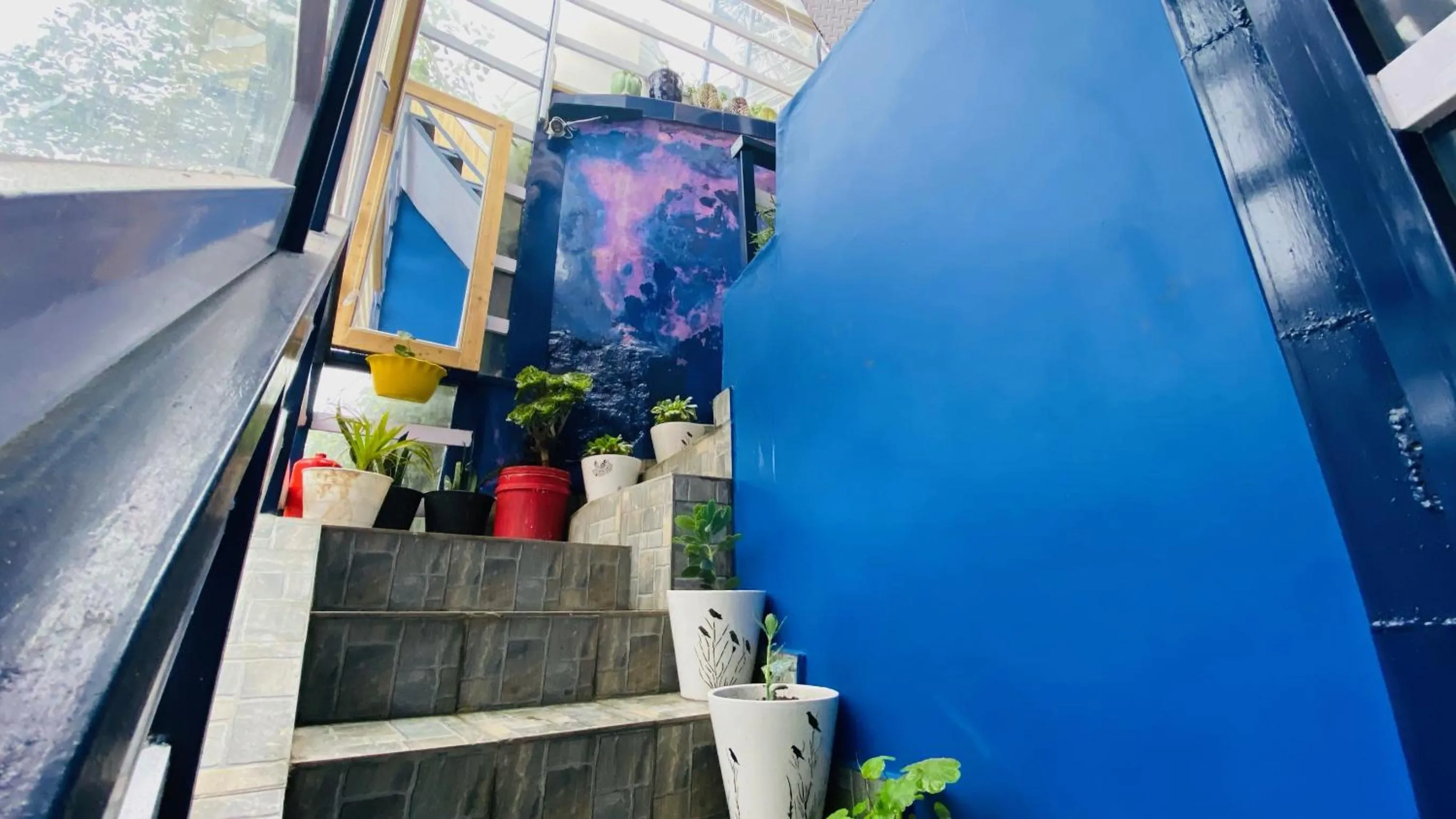 Facade/entrance in Clarence Cottage