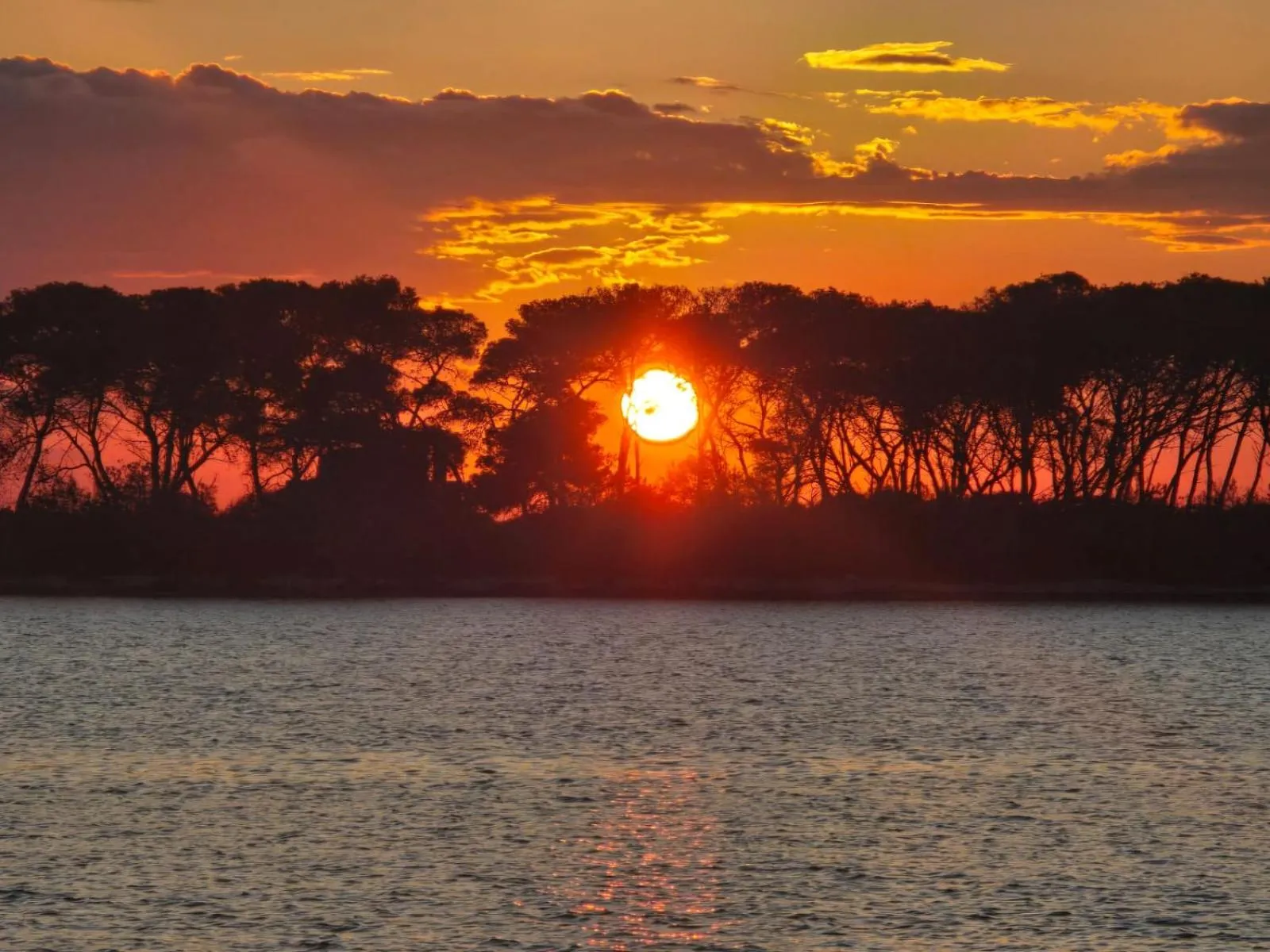 Natural landscape in ALG Apartments con Parcheggio