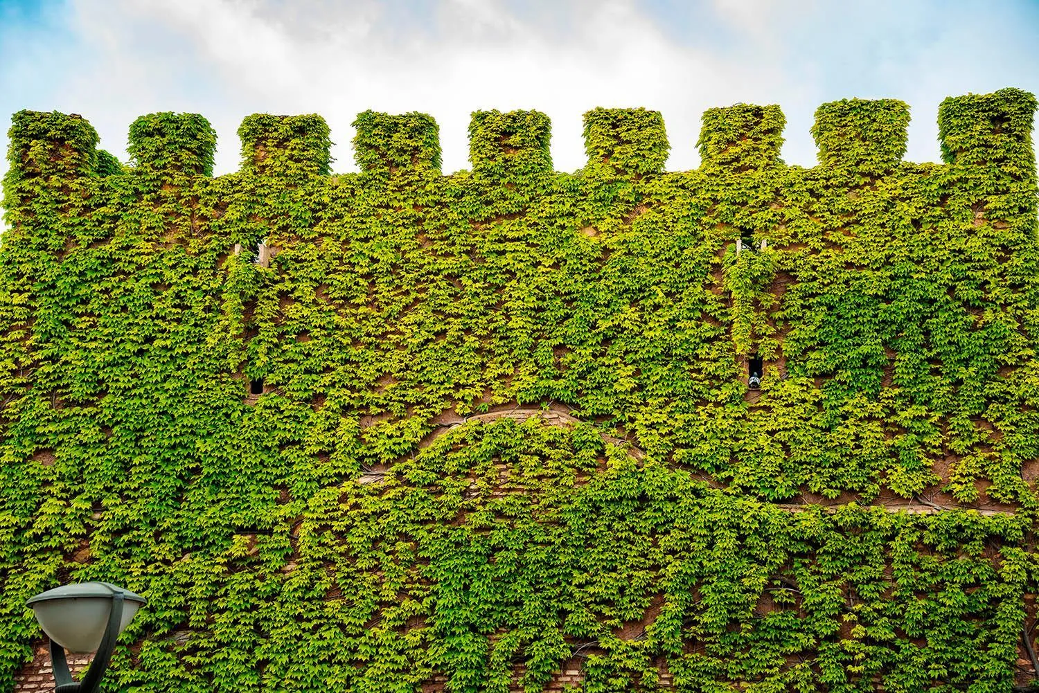 Natural landscape in Castillo De Pilas Bonas