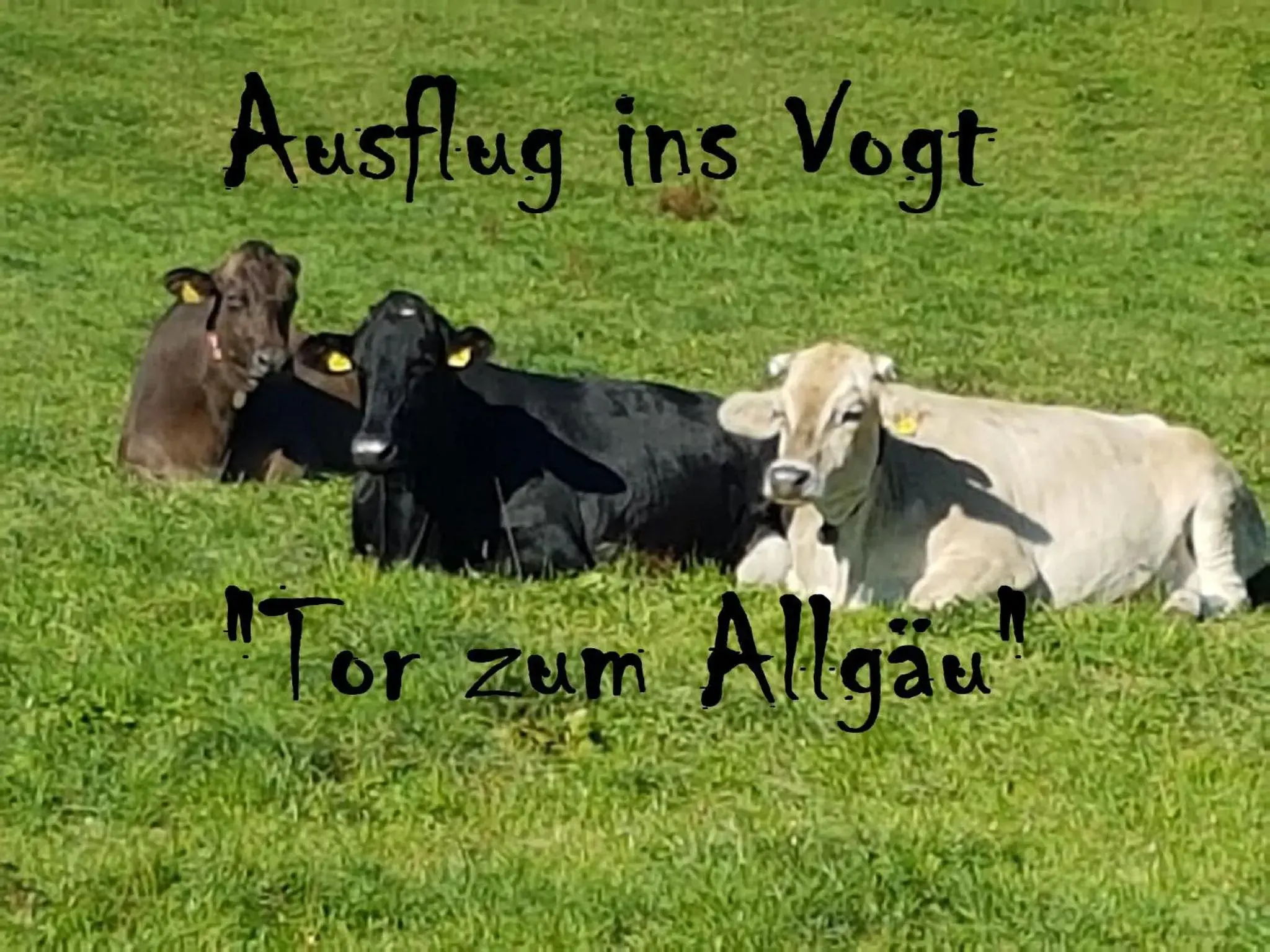 Family Double Room in Adam & Eva Gasthof Paradies mit Hotel Family Double Room in Adam & Eva Gasthof Paradies mit Hotel