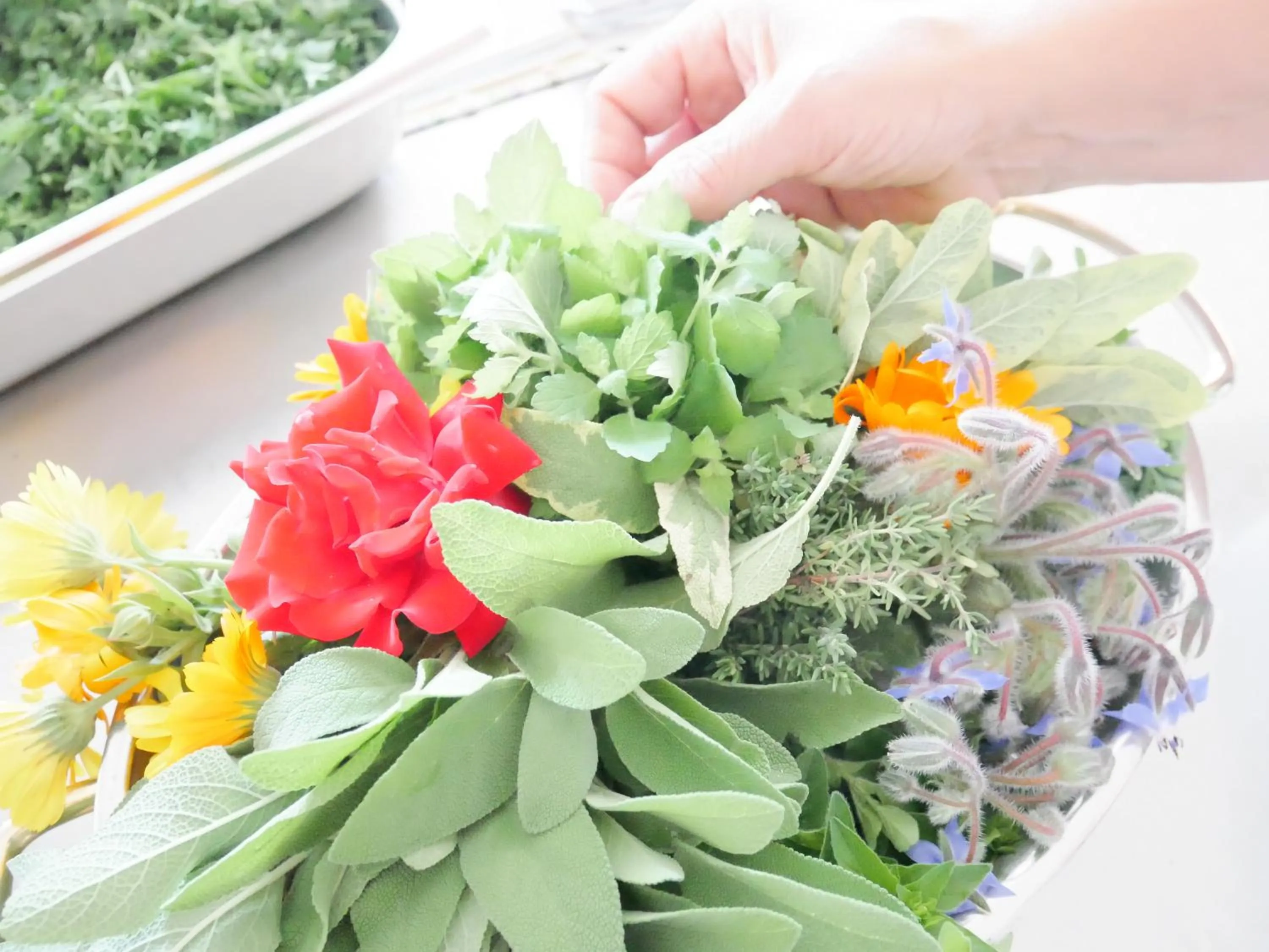 Restaurant/places to eat in Adam & Eva Gasthof Paradies mit Hotel