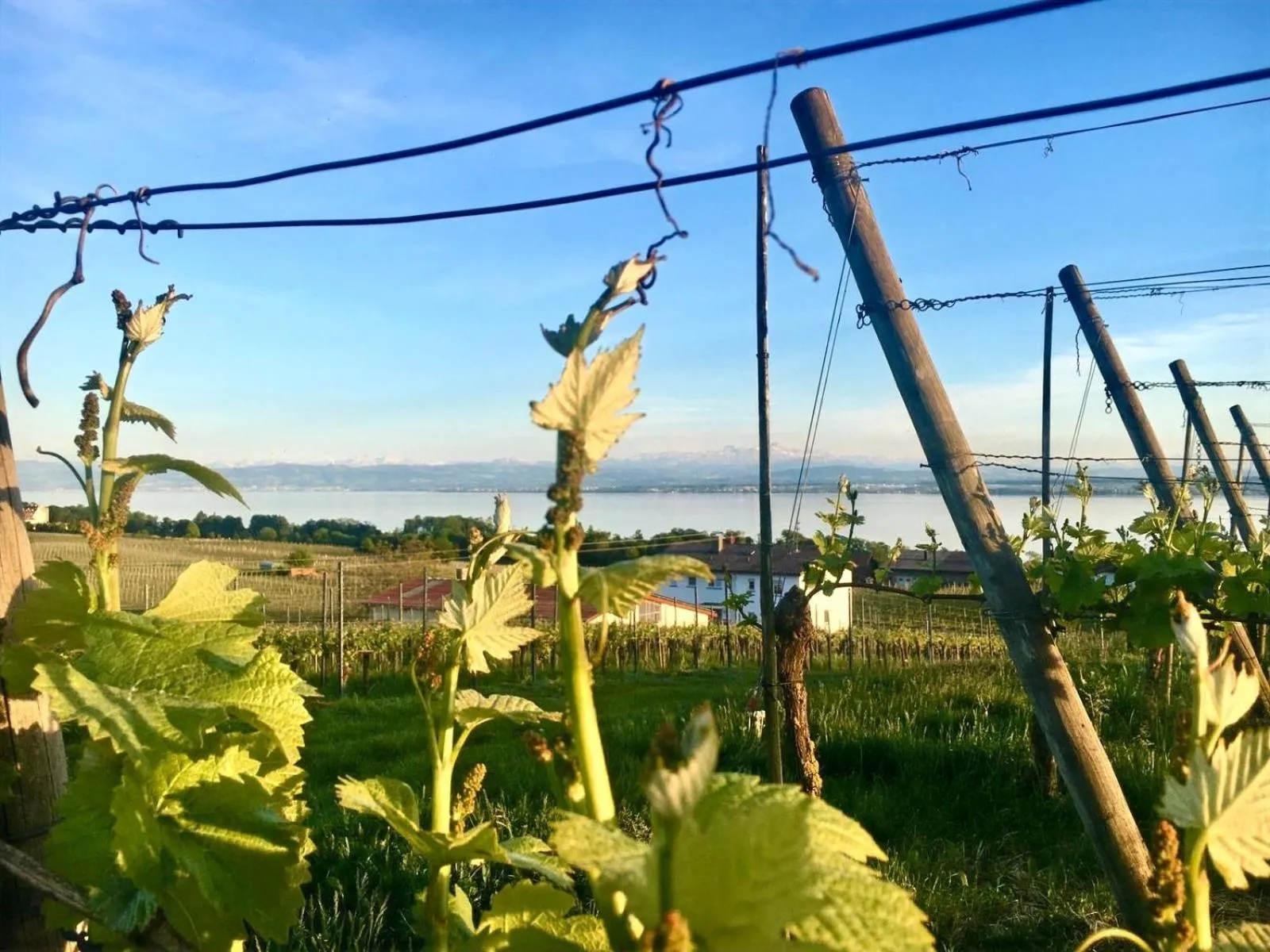 Staff in Adam & Eva Gasthof Paradies mit Hotel