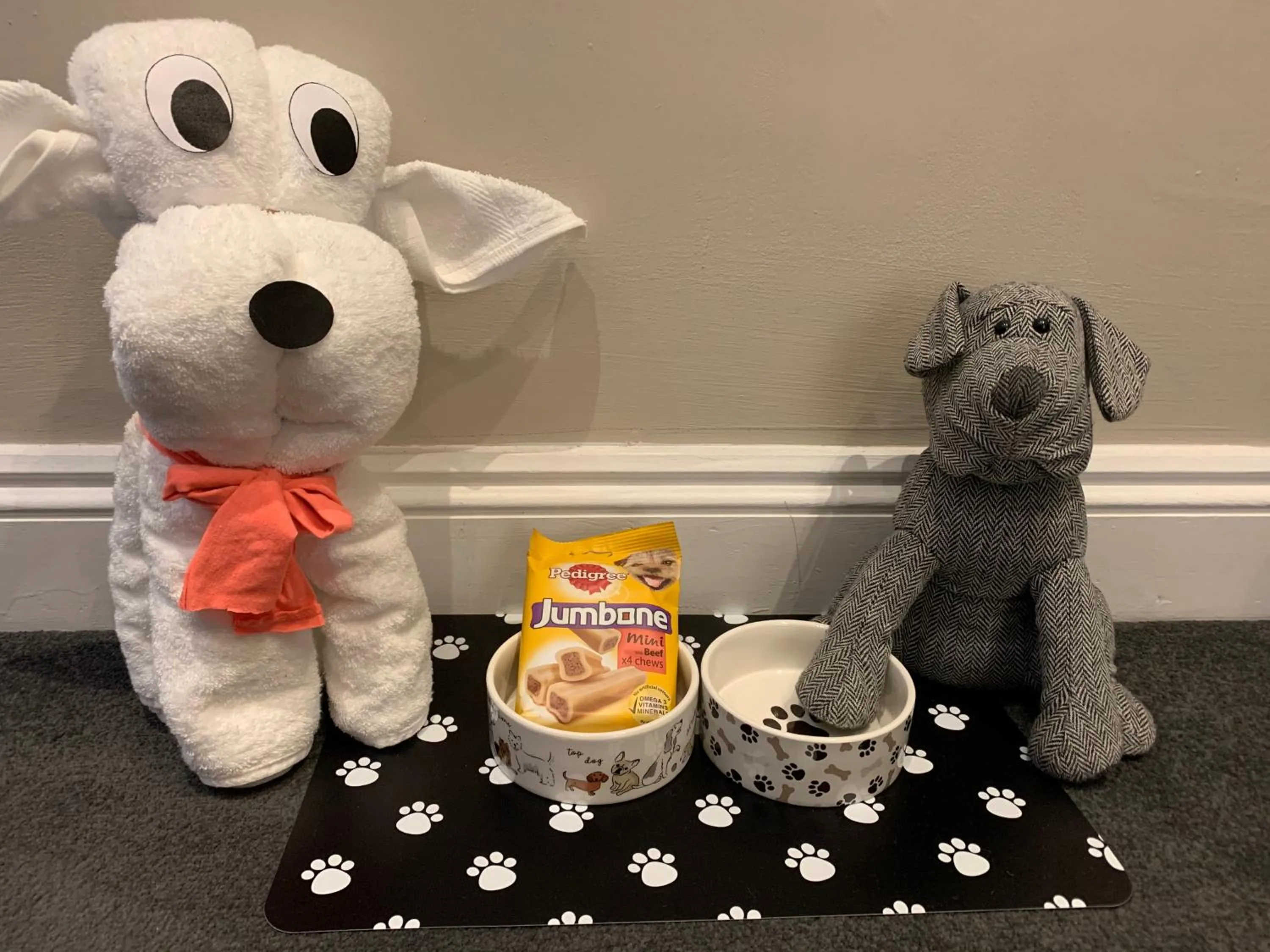 Pets in Clarence Court Hotel