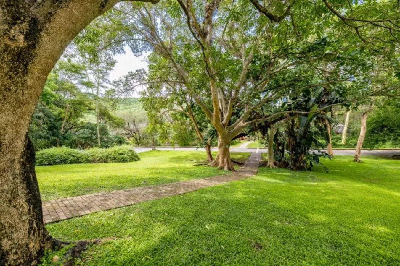 View (from property/room) in Sanbonani Hotel