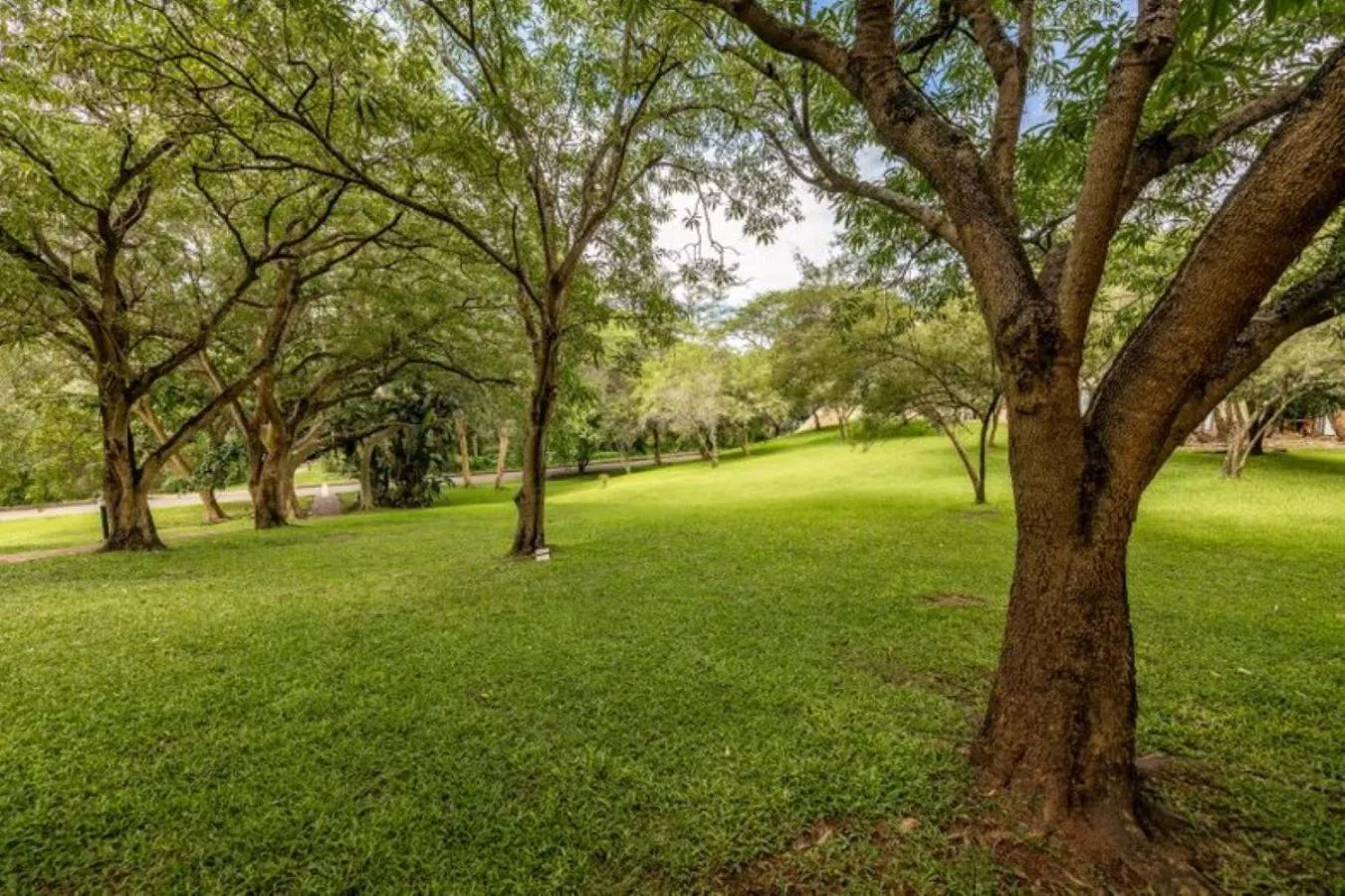 View (from property/room) in Sanbonani Hotel