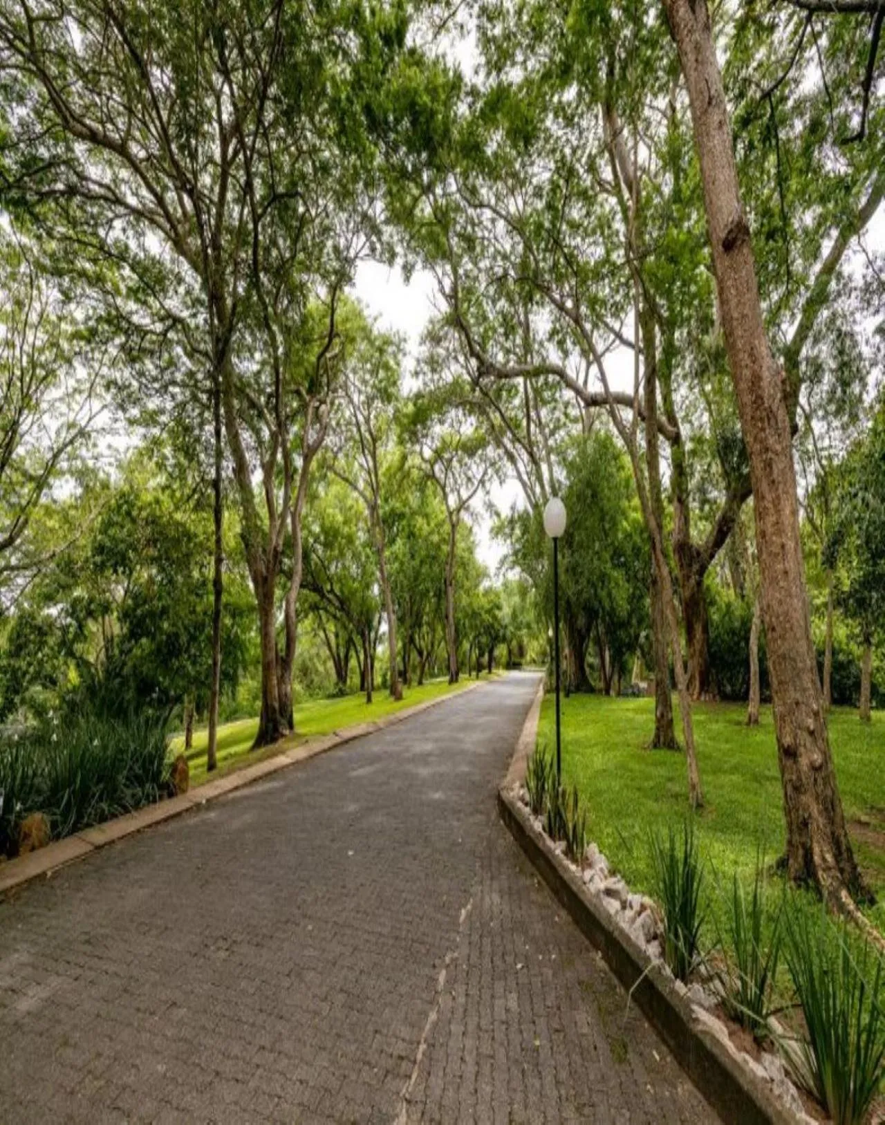 Garden in Sanbonani Hotel