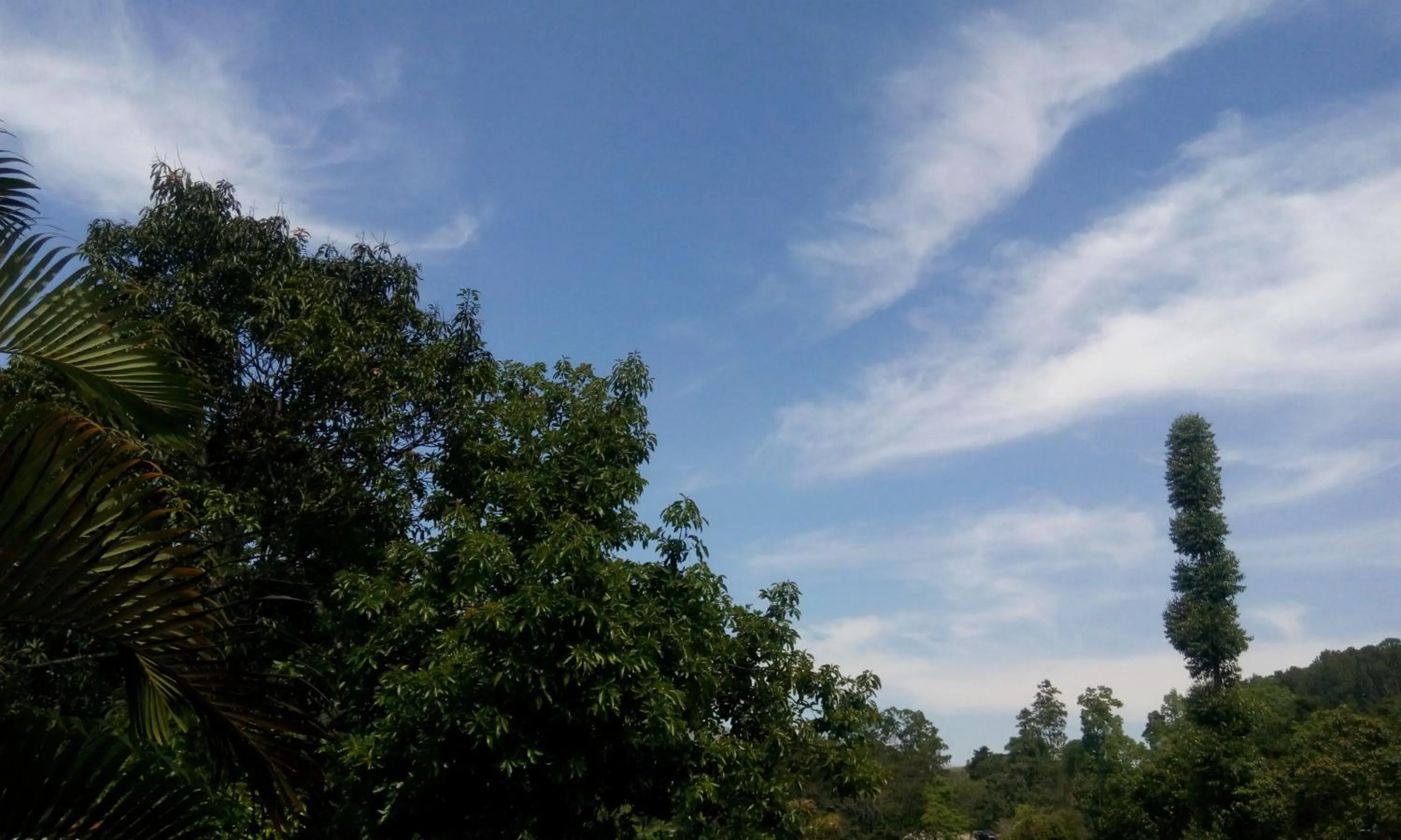 Natural landscape in Holiday Homes Guest Inn - Ella