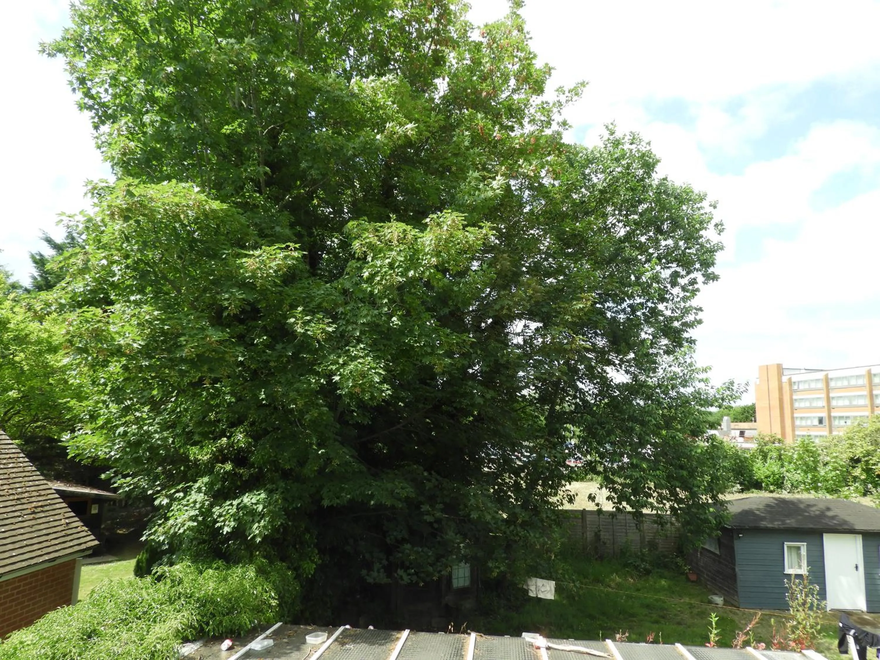 Property building in All Seasons Gatwick Guest House & Parking