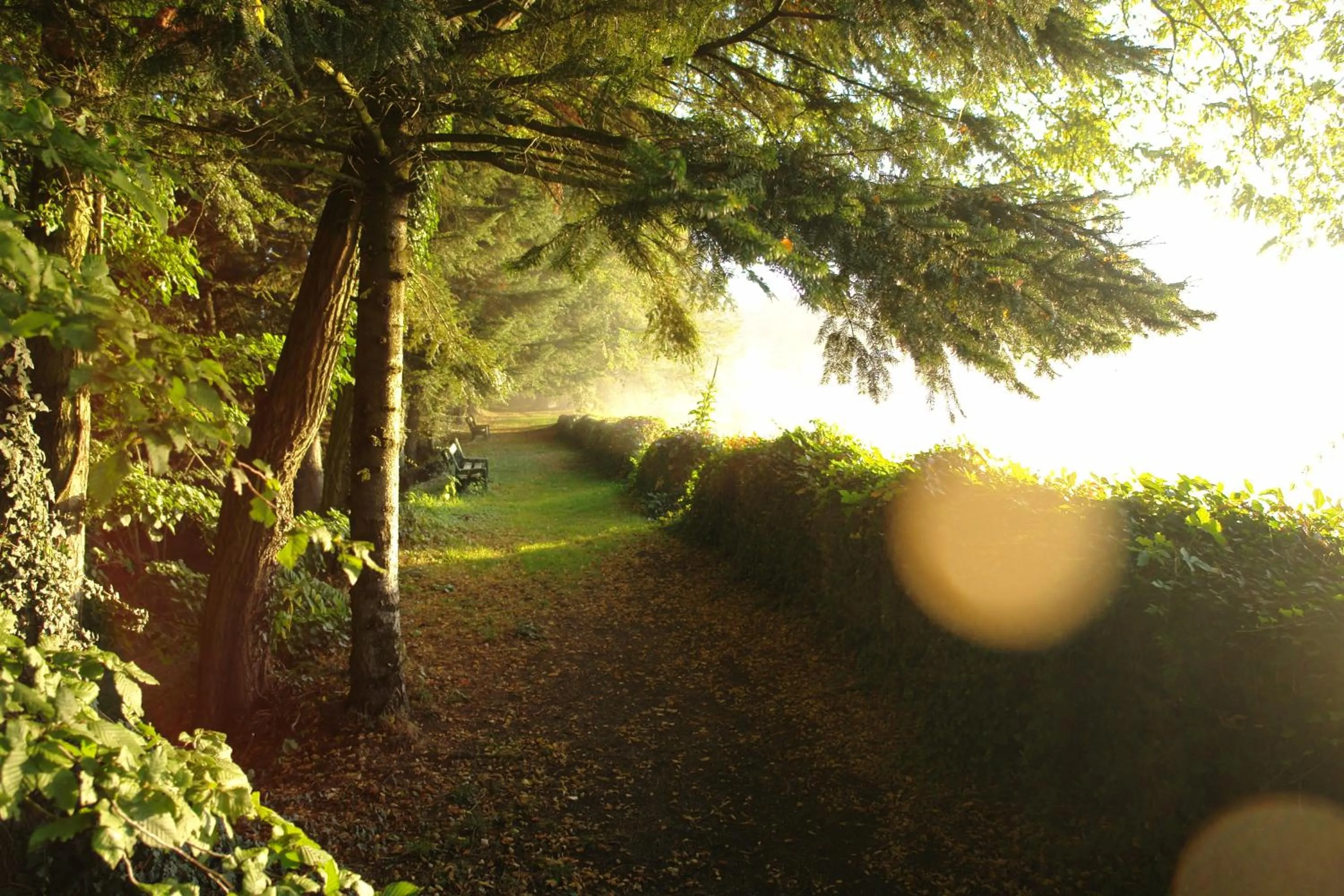 Garden view in Le Tronçais