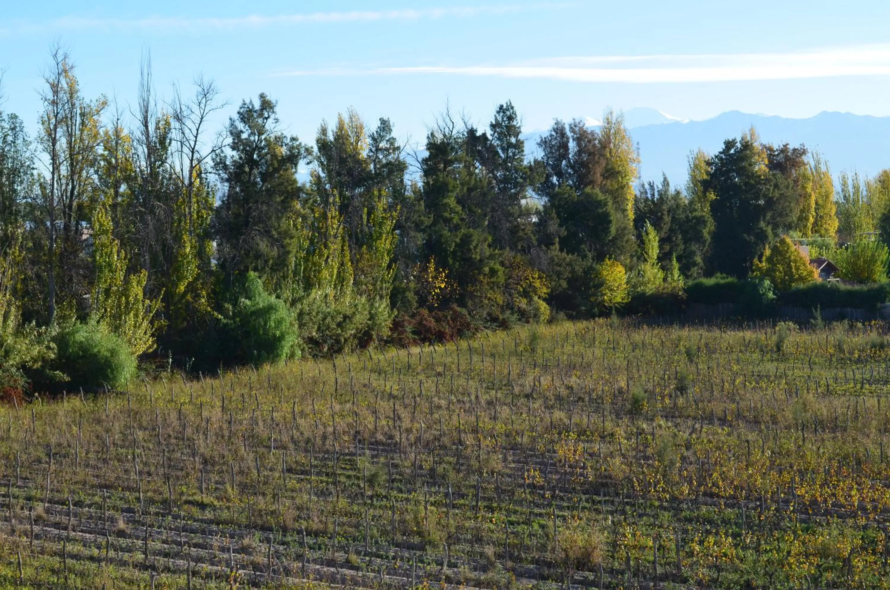 View (from property/room) in Hotel Finca Hermitage