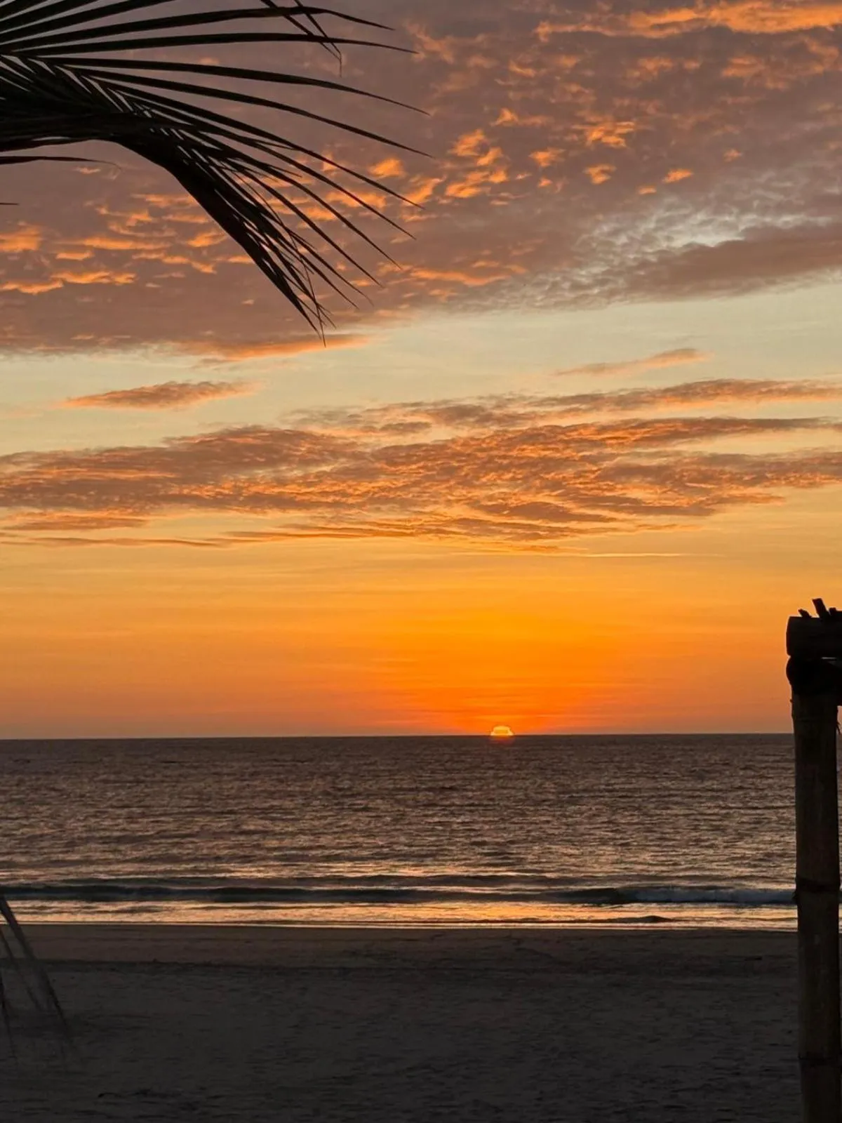 Beach in Hotel Puerto Antiguo